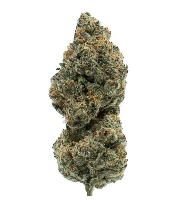 APPLE TART (INDOOR) THC-A Flower