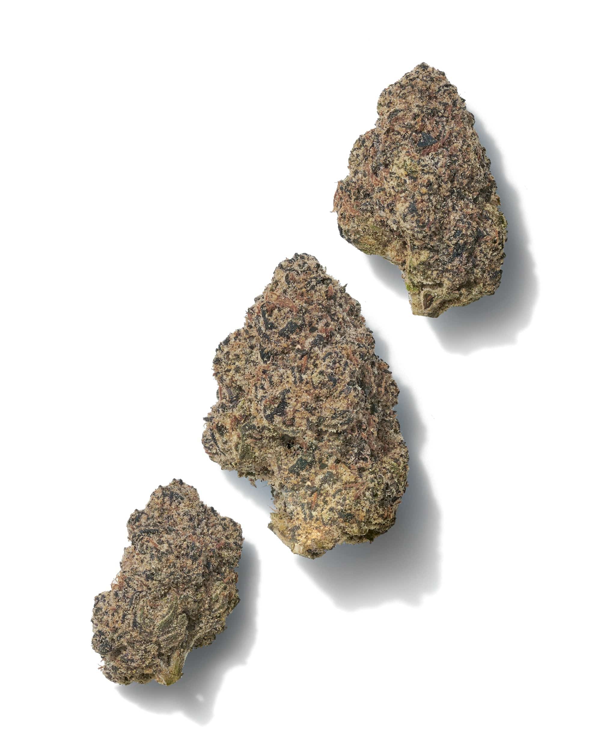 ARCHIVE RUNTZ (INDOOR) THC-A Flower - Image 2