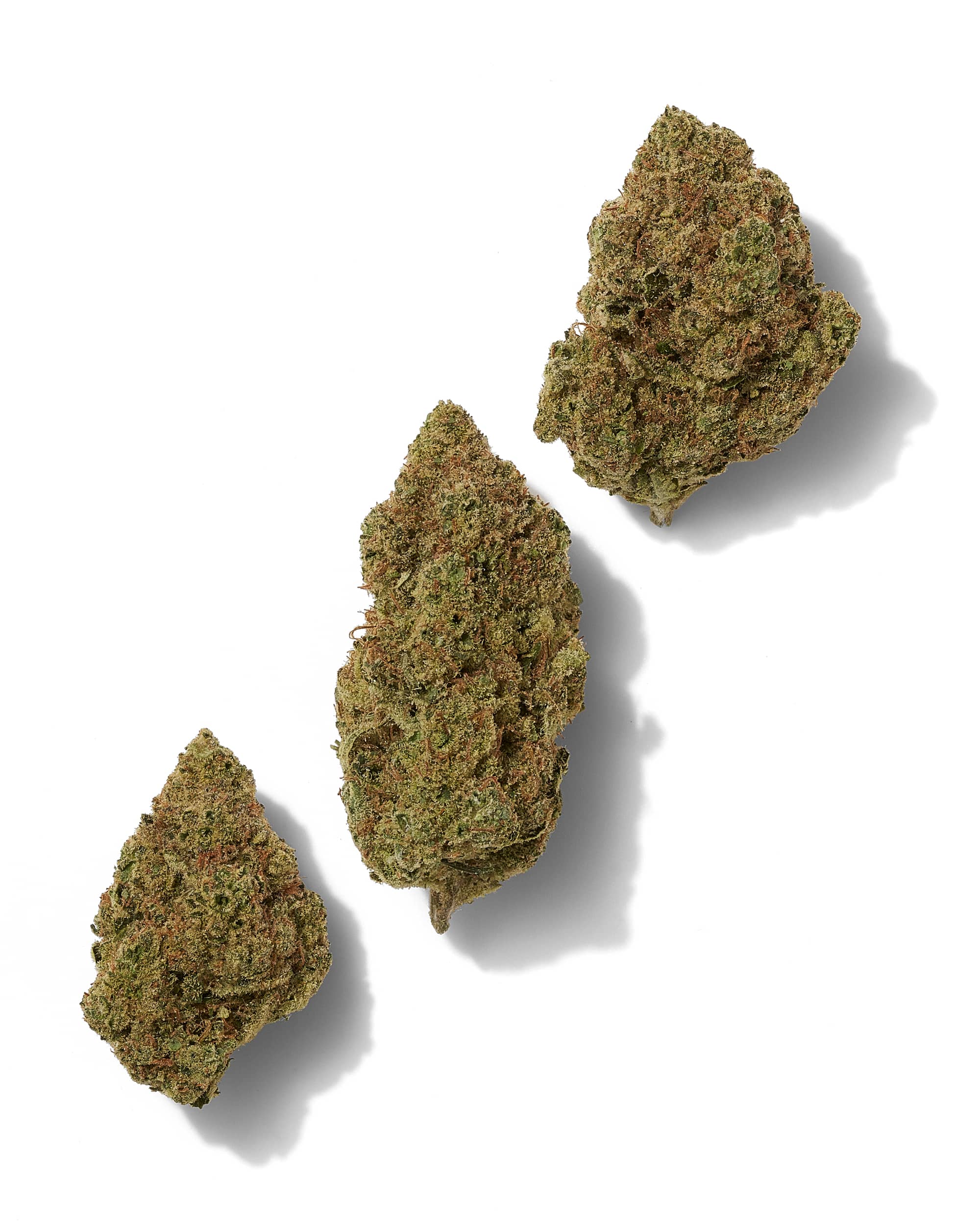 BANJO (LIGHT DEP) THC-A Flower - Image 2