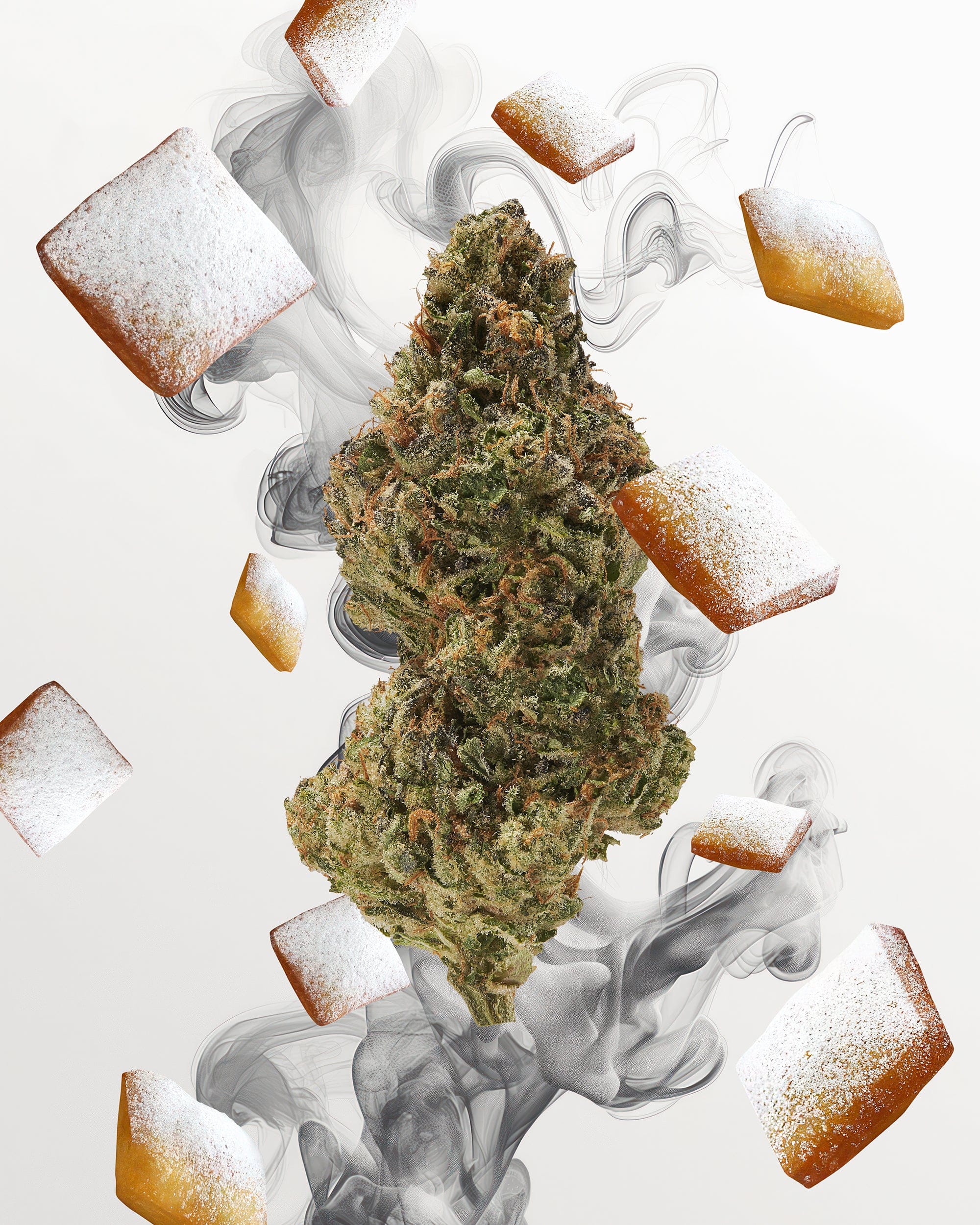 BEIGNETS (LIGHT DEP) THC-A Flower - Image 3