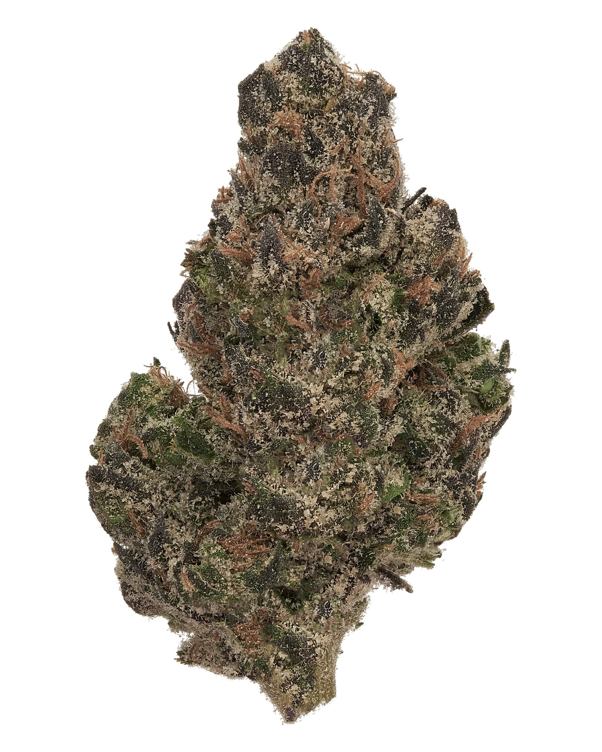 Popular Picks (Online)