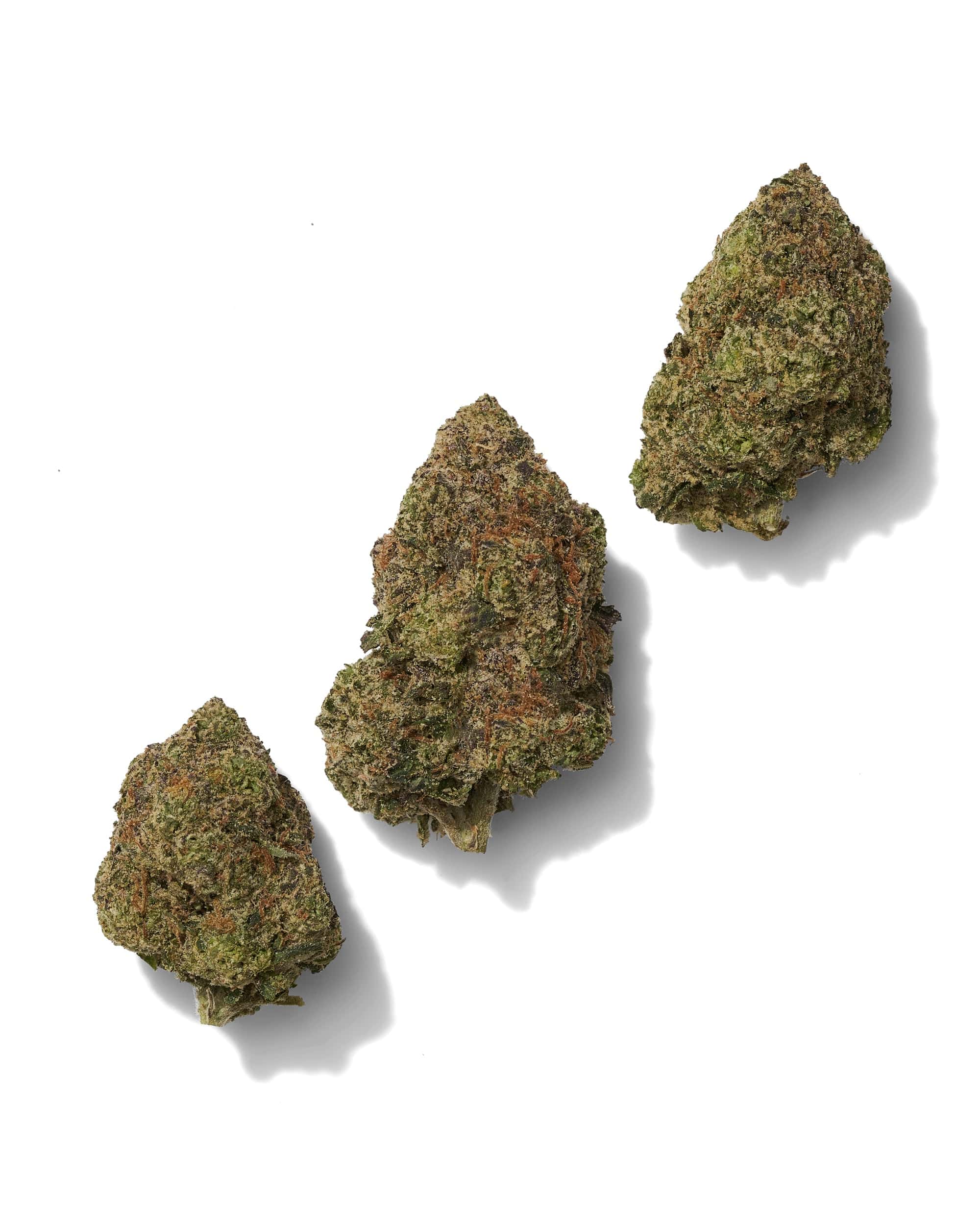 BLACK MAMBA (INDOOR) THC-A Flower - Image 2