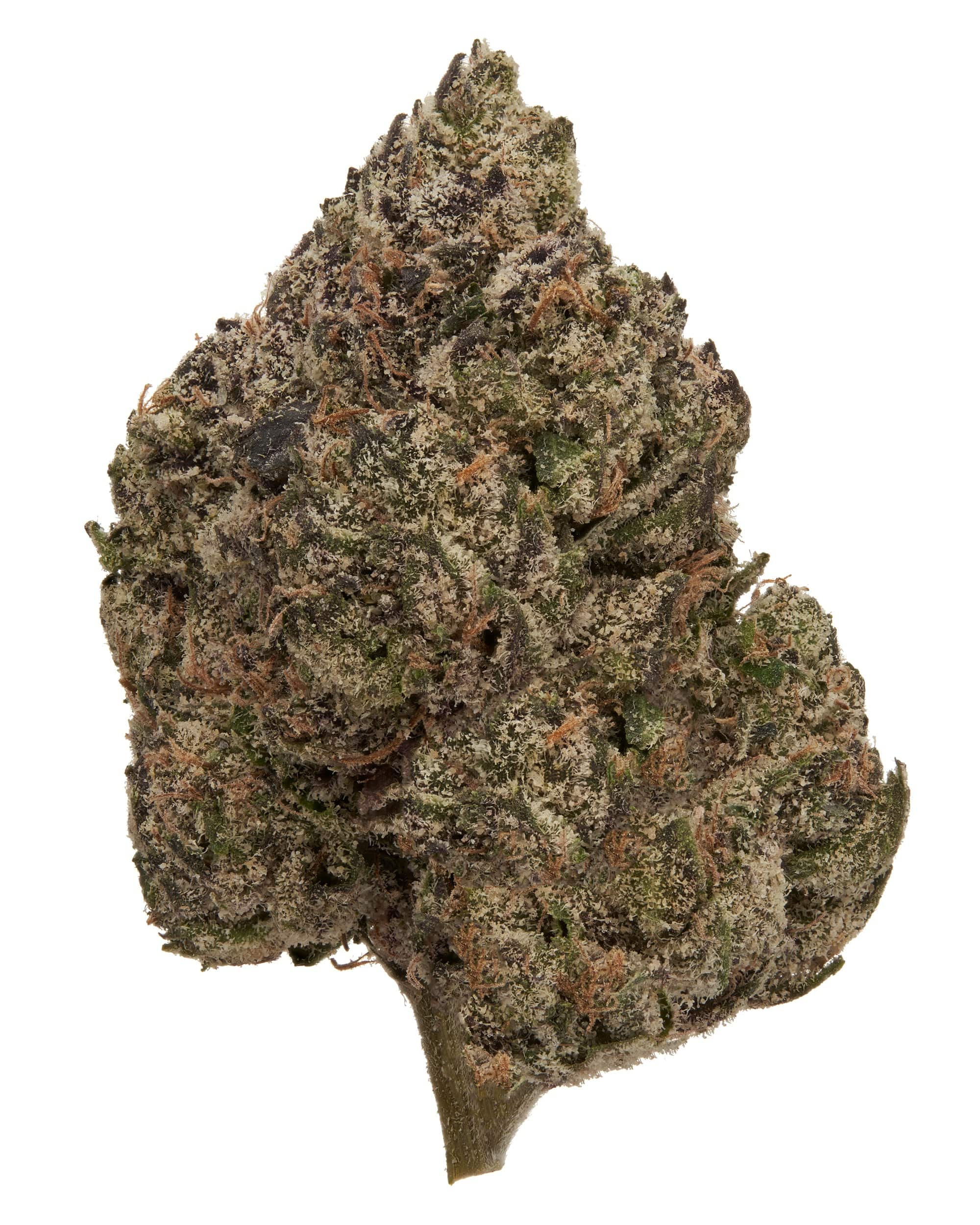 BLACK RUNTZ (EXOTIC) THC-A FLOWER