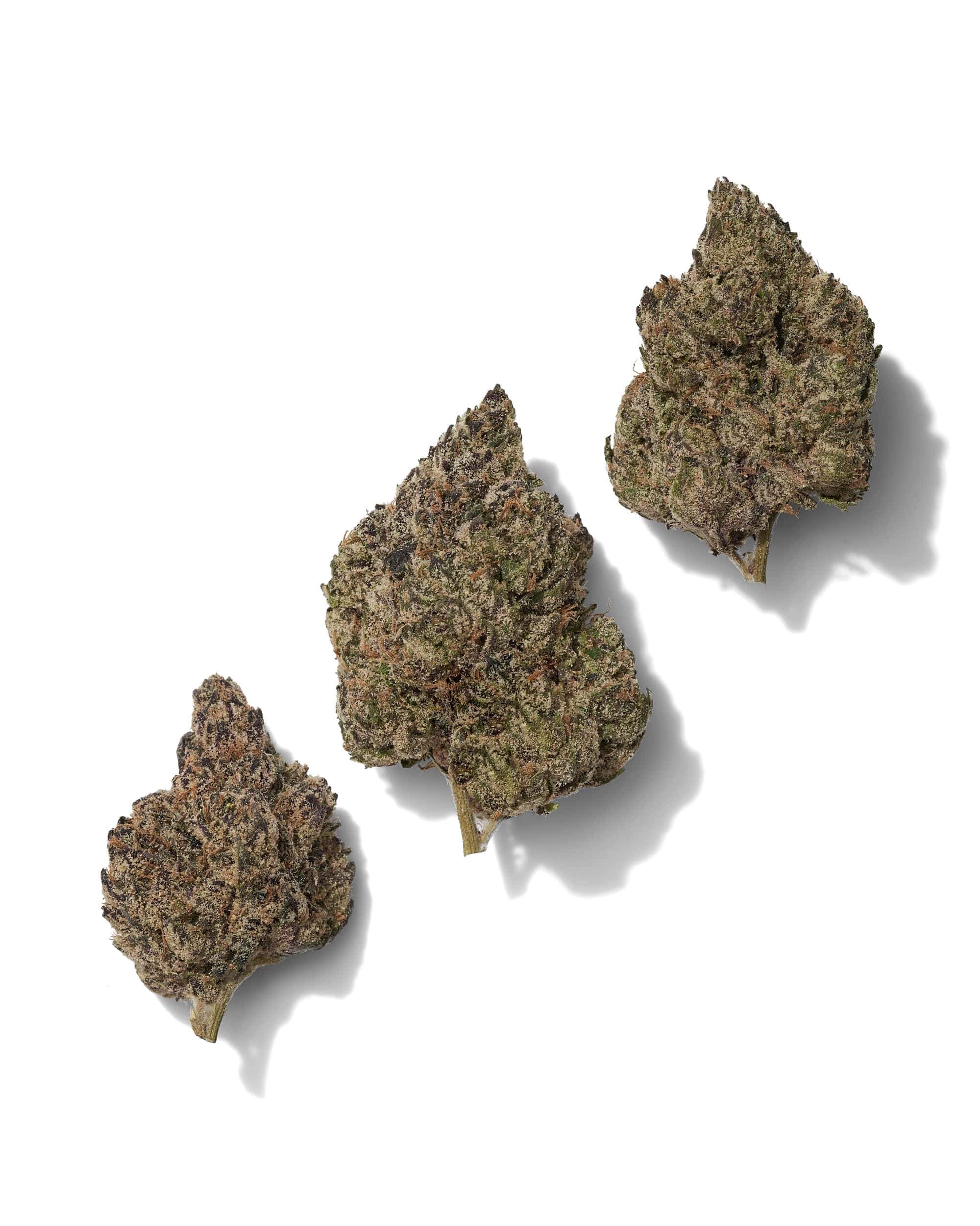 BLACK RUNTZ (EXOTIC) THC-A FLOWER - Image 2
