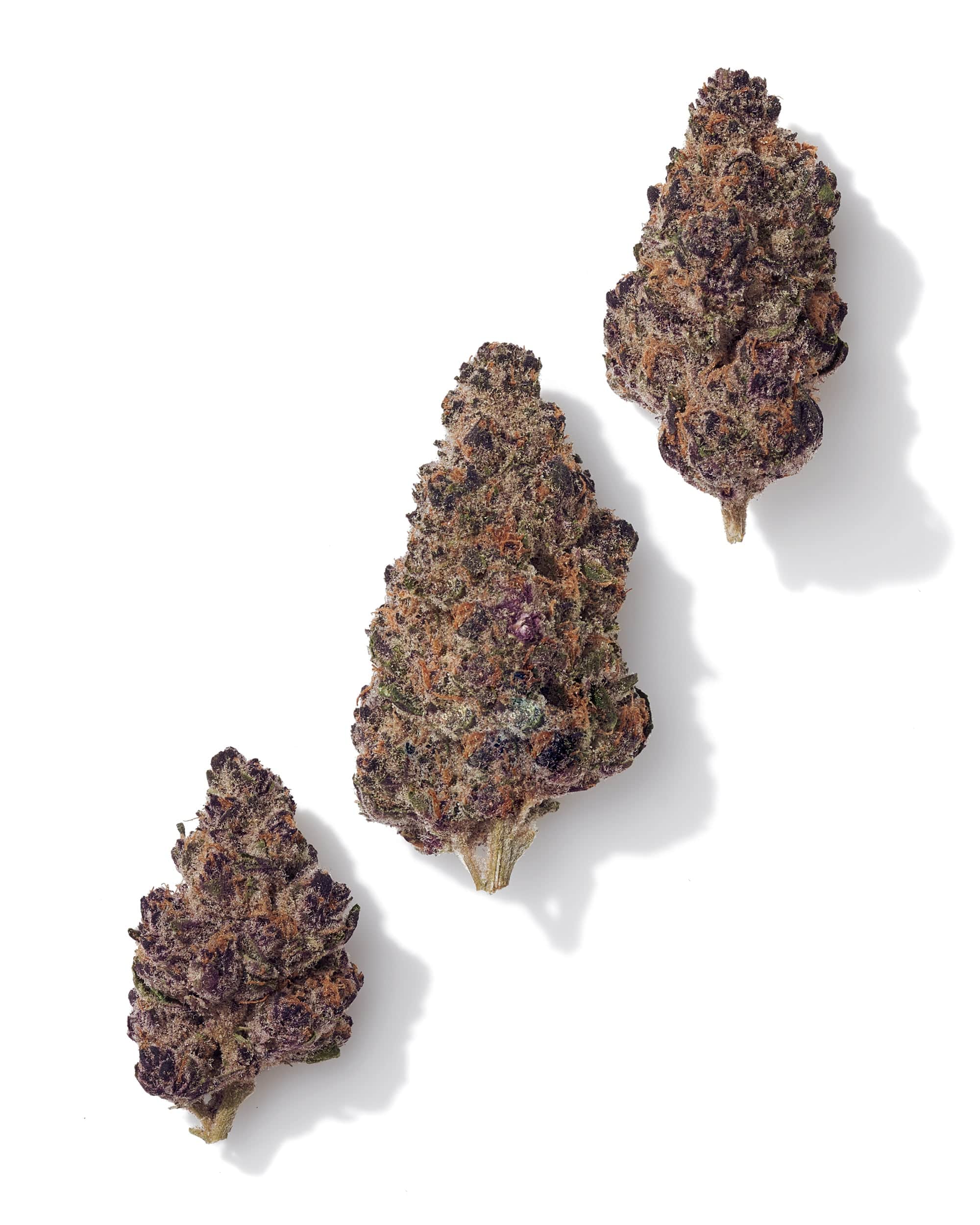 BLOCKBERRY (INDOOR) THC-A Flower - Image 2