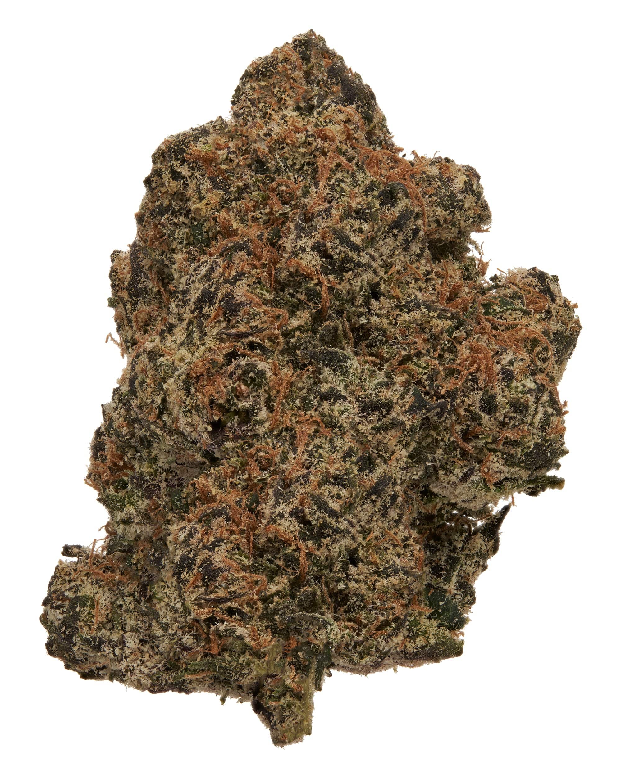 BLUE BURST (INDOOR) THC-A Flower