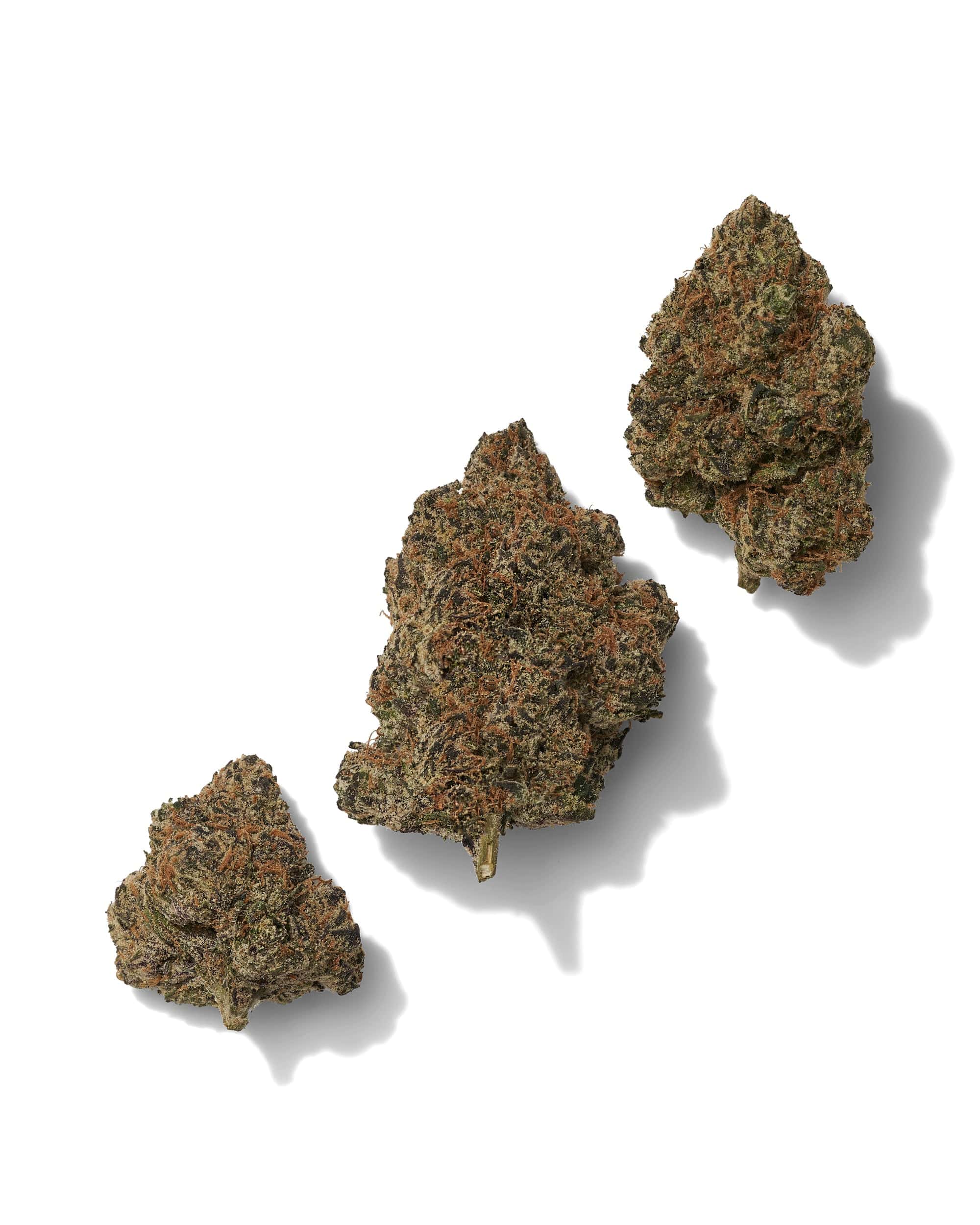 BLUE BURST (INDOOR) THC-A Flower - Image 2