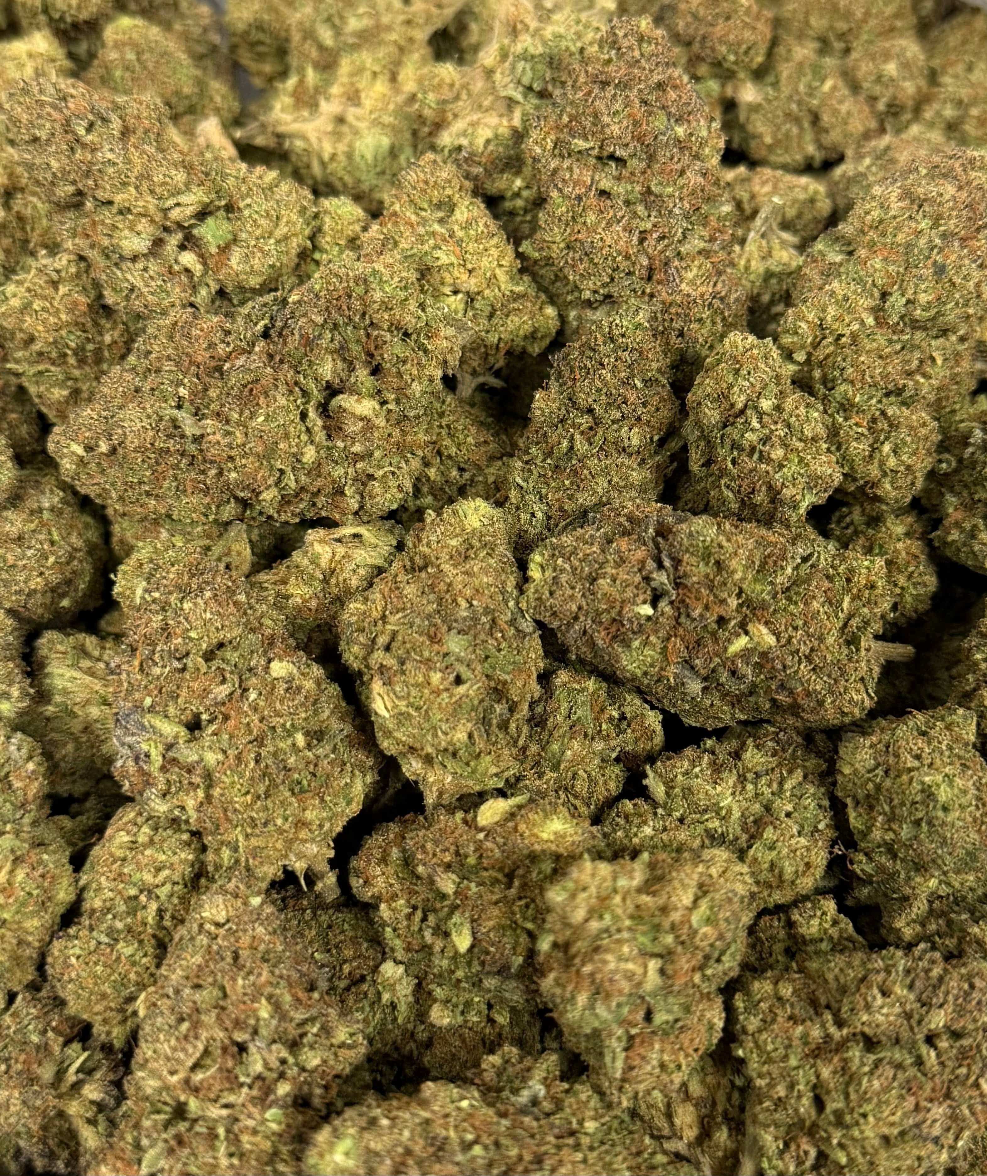 BLUE SKUNK (GREENHOUSE) THC-A Flower