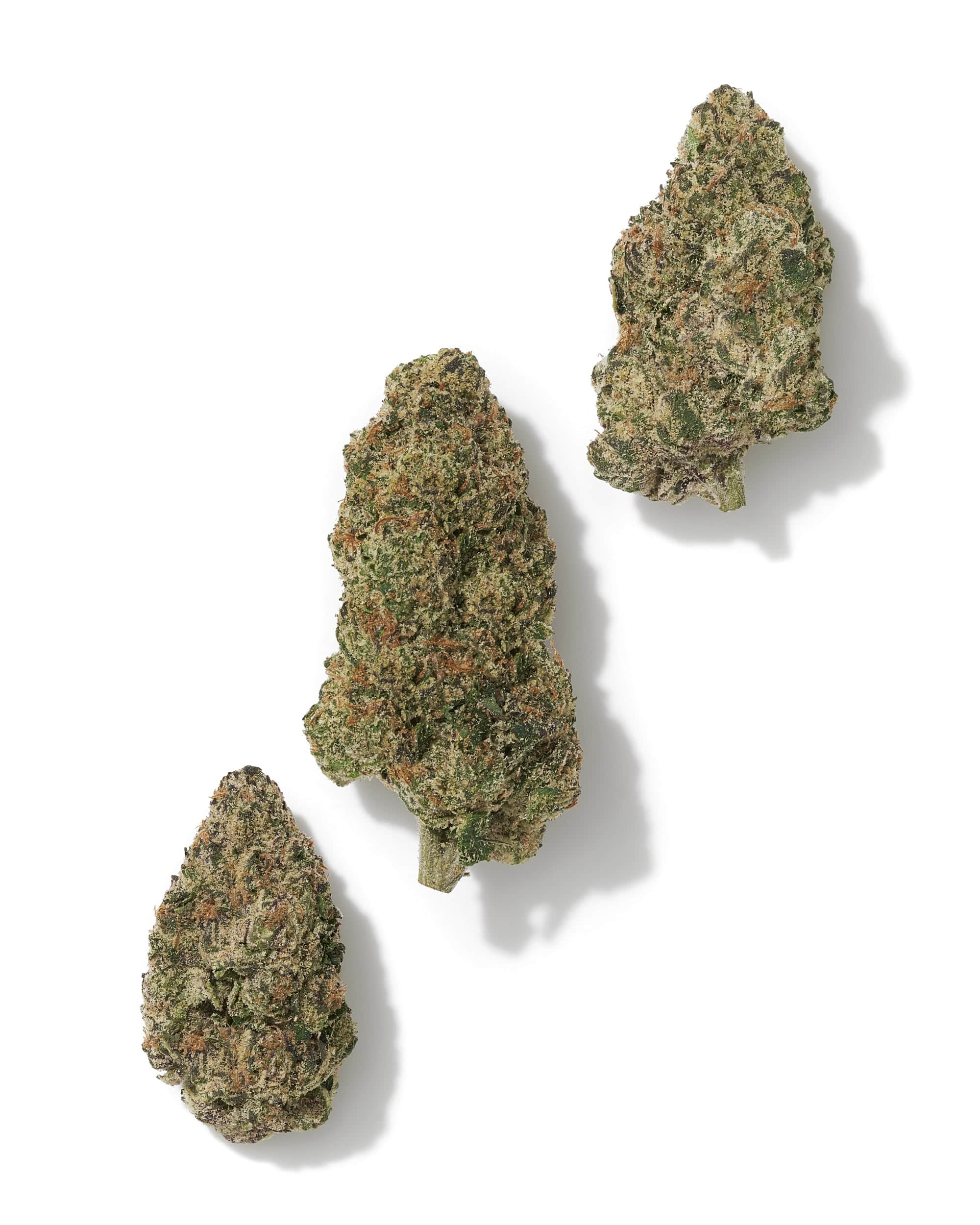 BLUE SKYWALKER (INDOOR) THC-A Flower - Image 2