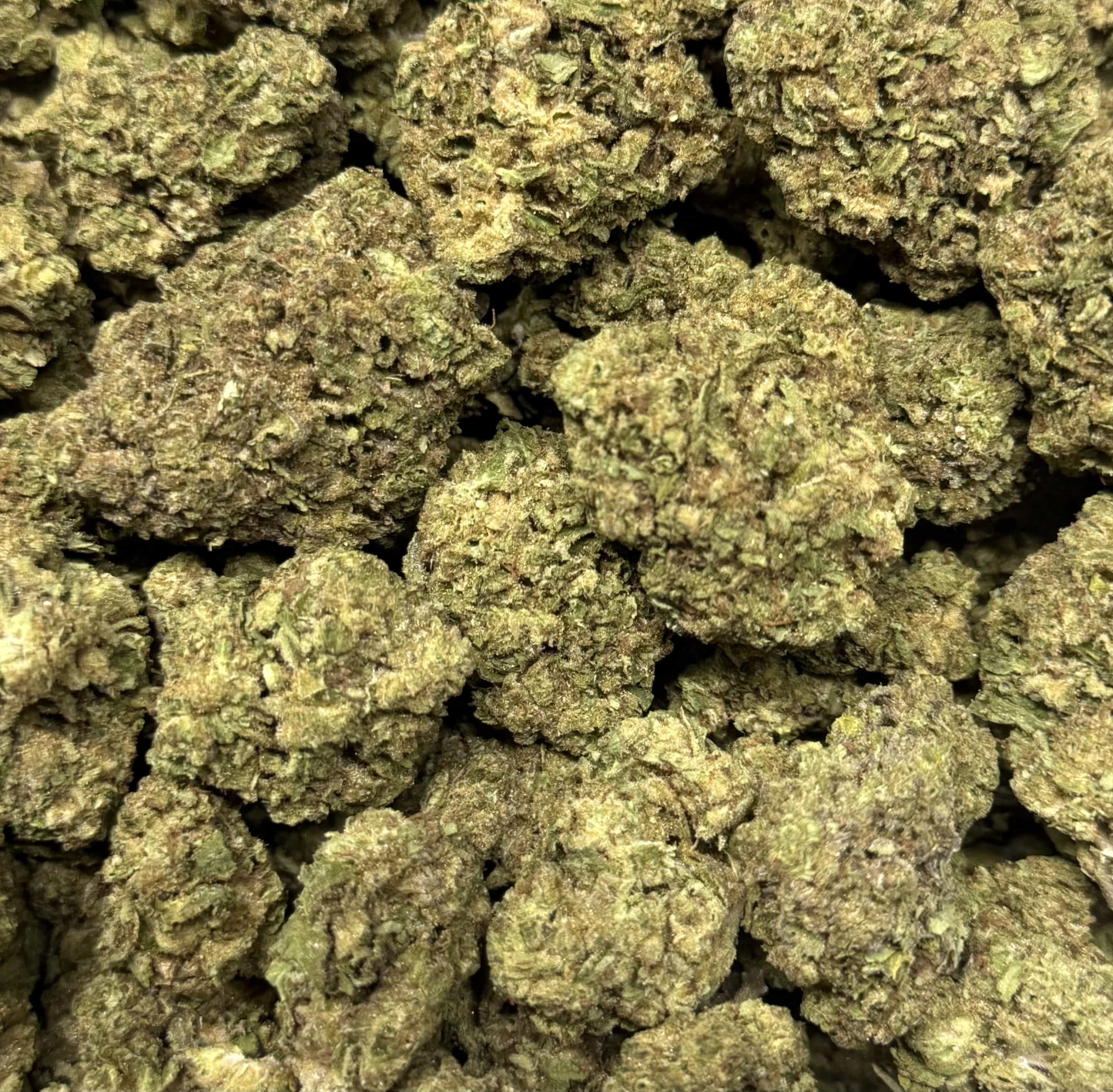 BLUEBERRY LEMONADE (GREENHOUSE) THC-A Flower