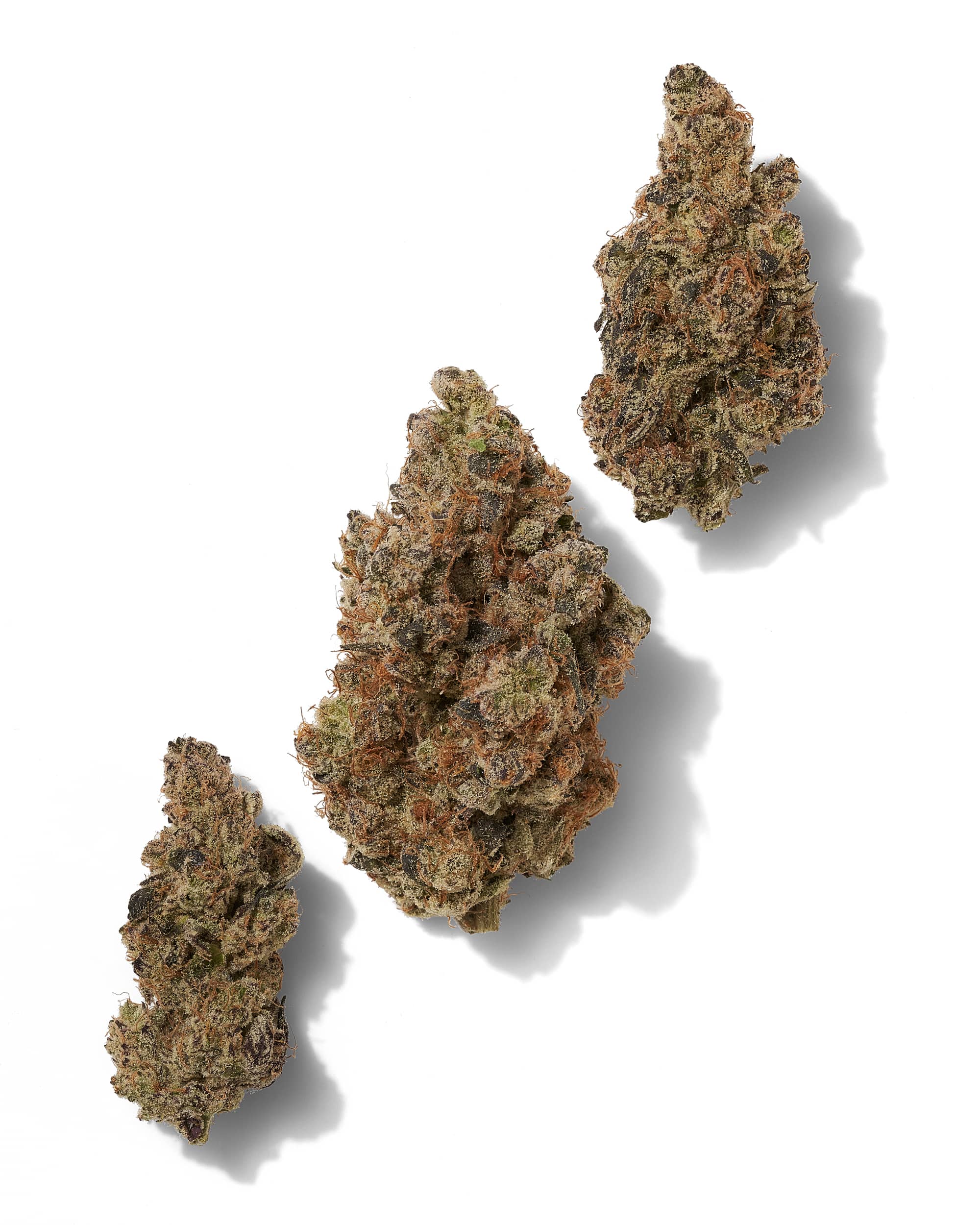 BLUEBERRY PANCAKES (INDOOR) THC-A Flower - Image 2