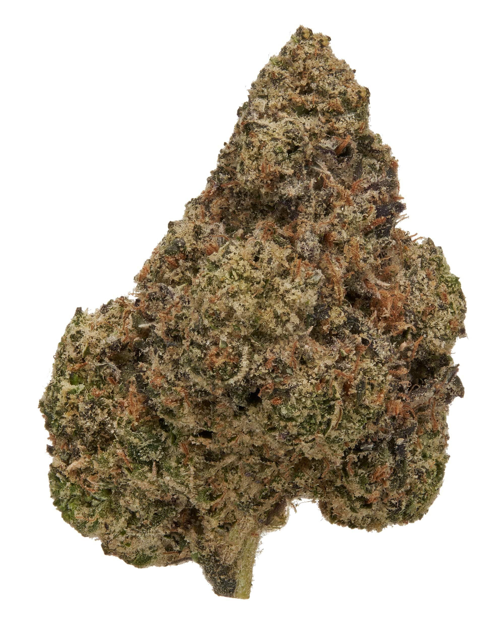 BOLO RUNTZ (INDOOR) THC-A Flower