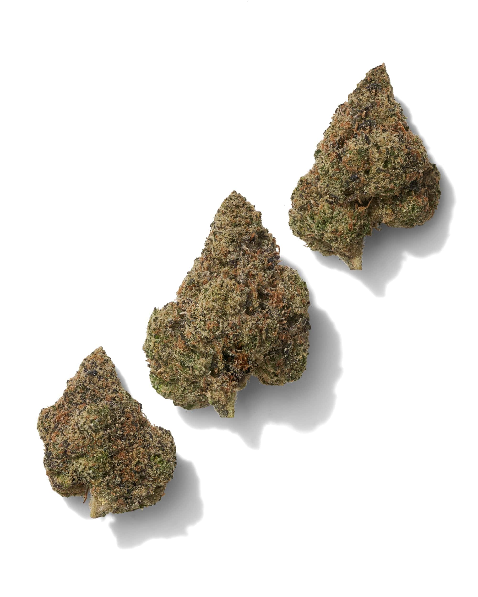 BOLO RUNTZ (INDOOR) THC-A Flower - Image 2