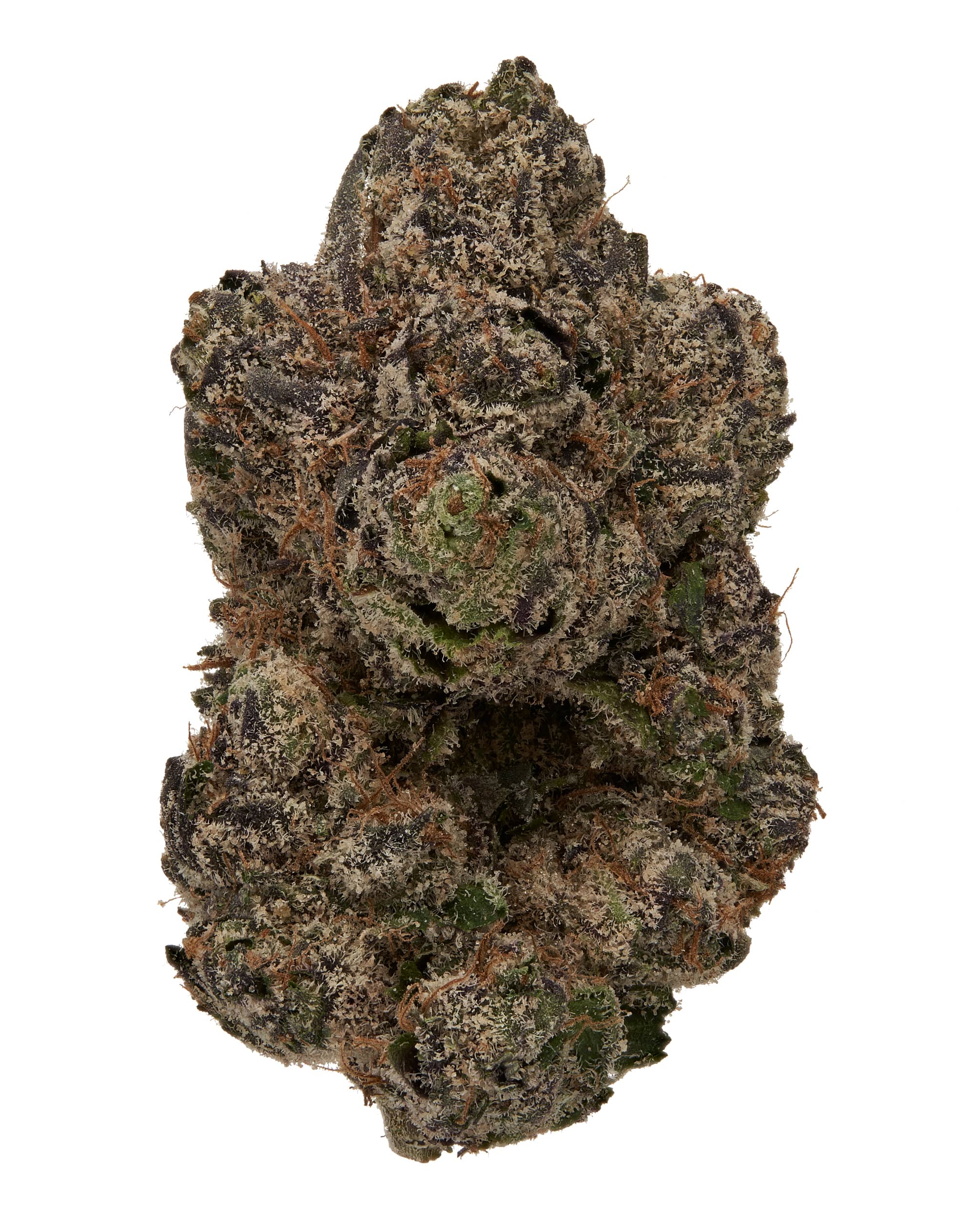 BOSTON GEORGE (EXOTIC) THC-A Flower