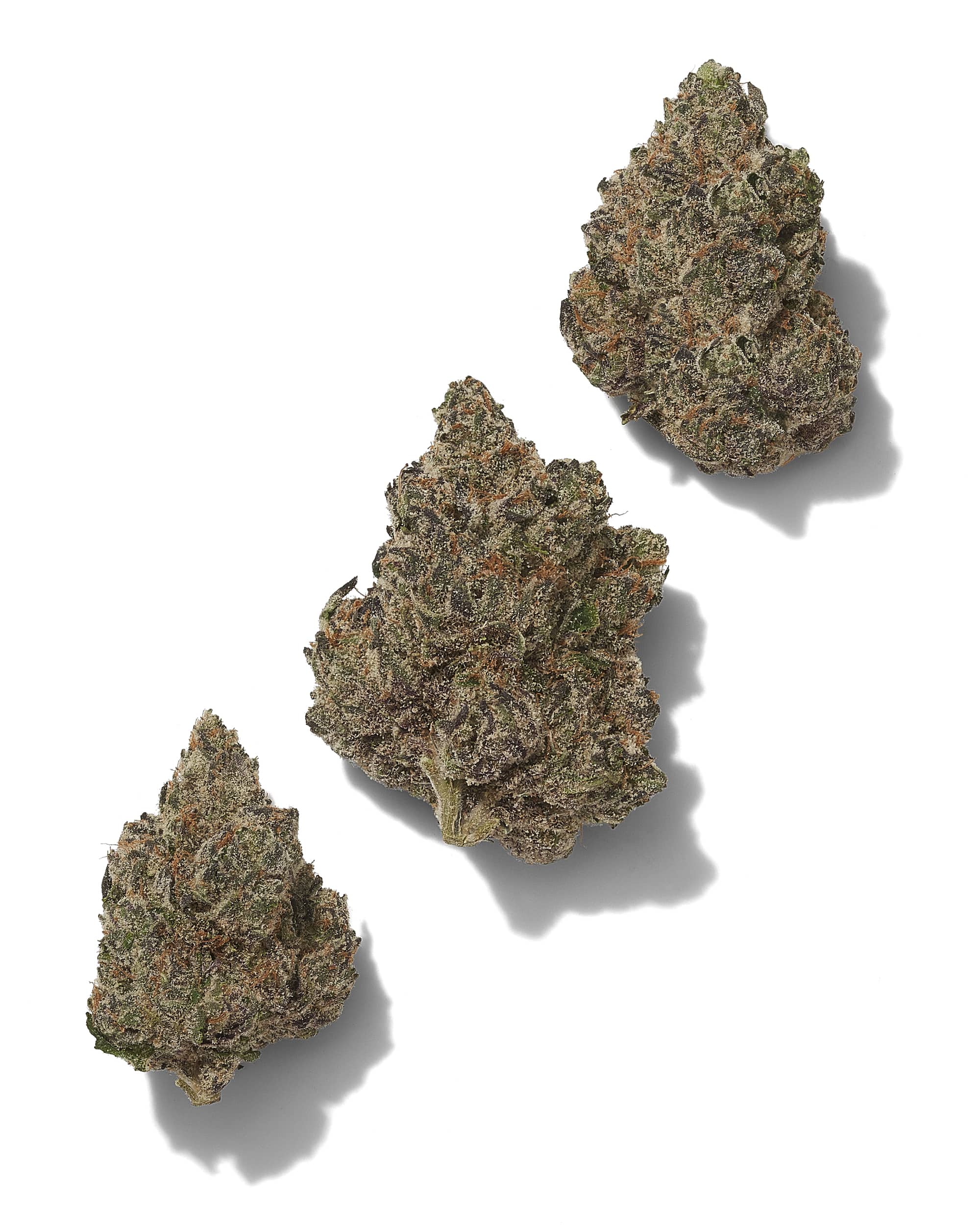 BOSTON GEORGE (EXOTIC) THC-A Flower - Image 2