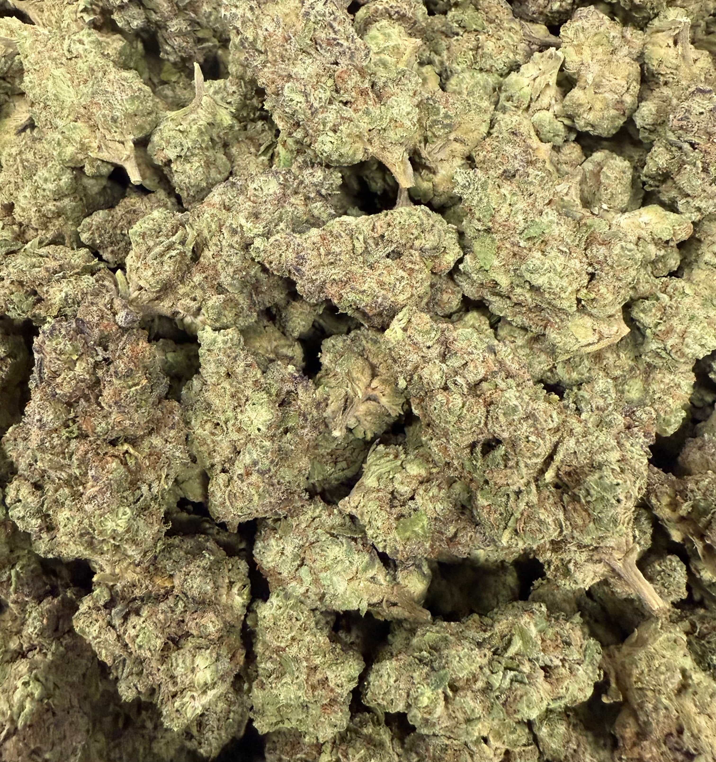 CHOCOLATE MINTZ (GREENHOUSE) THC-A Flower