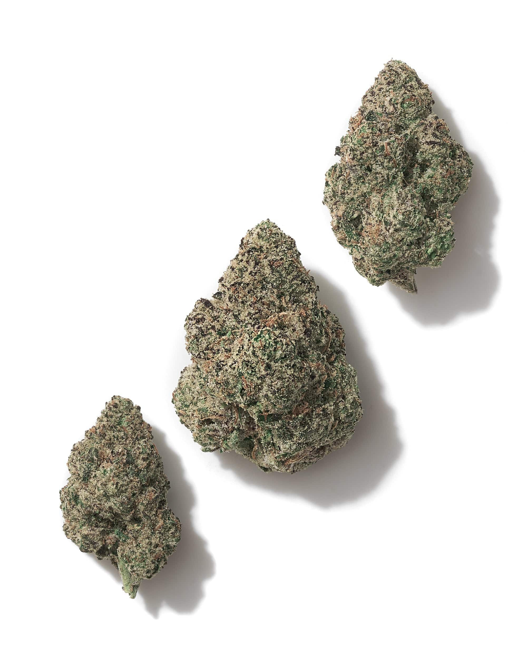 CRITICAL MASS (INDOOR) THC-A Flower - Image 2