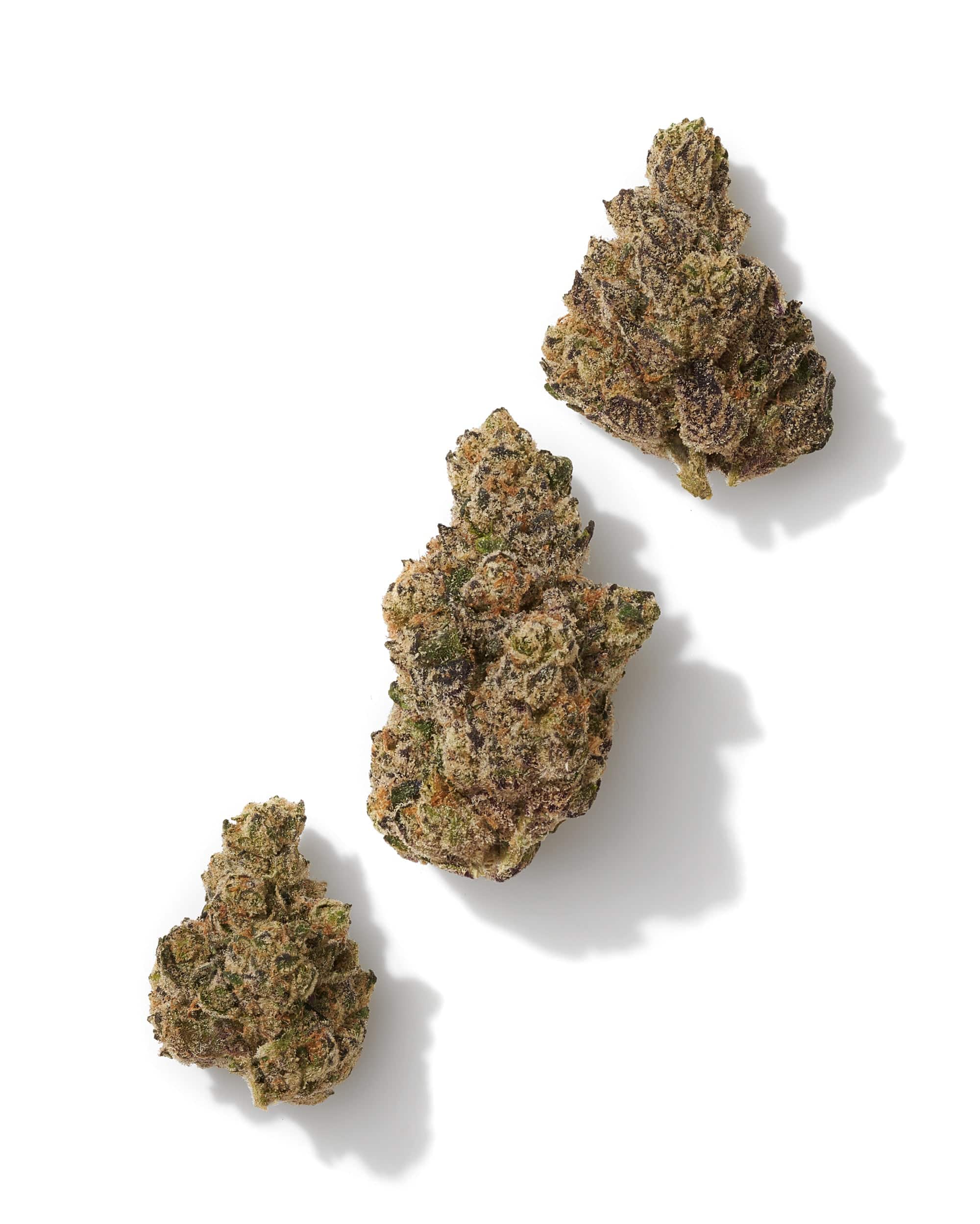 GAS FACE (INDOOR) THC-A Flower - Image 2