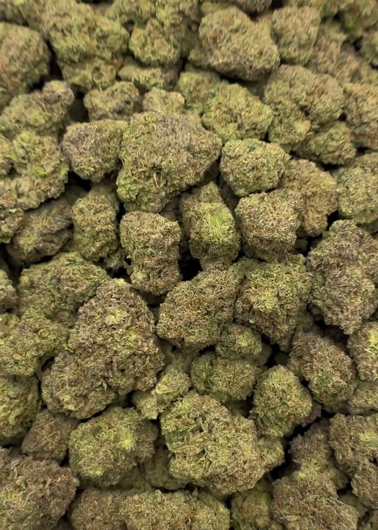 GELATO CAKE (GREENHOUSE) THC-A Flower
