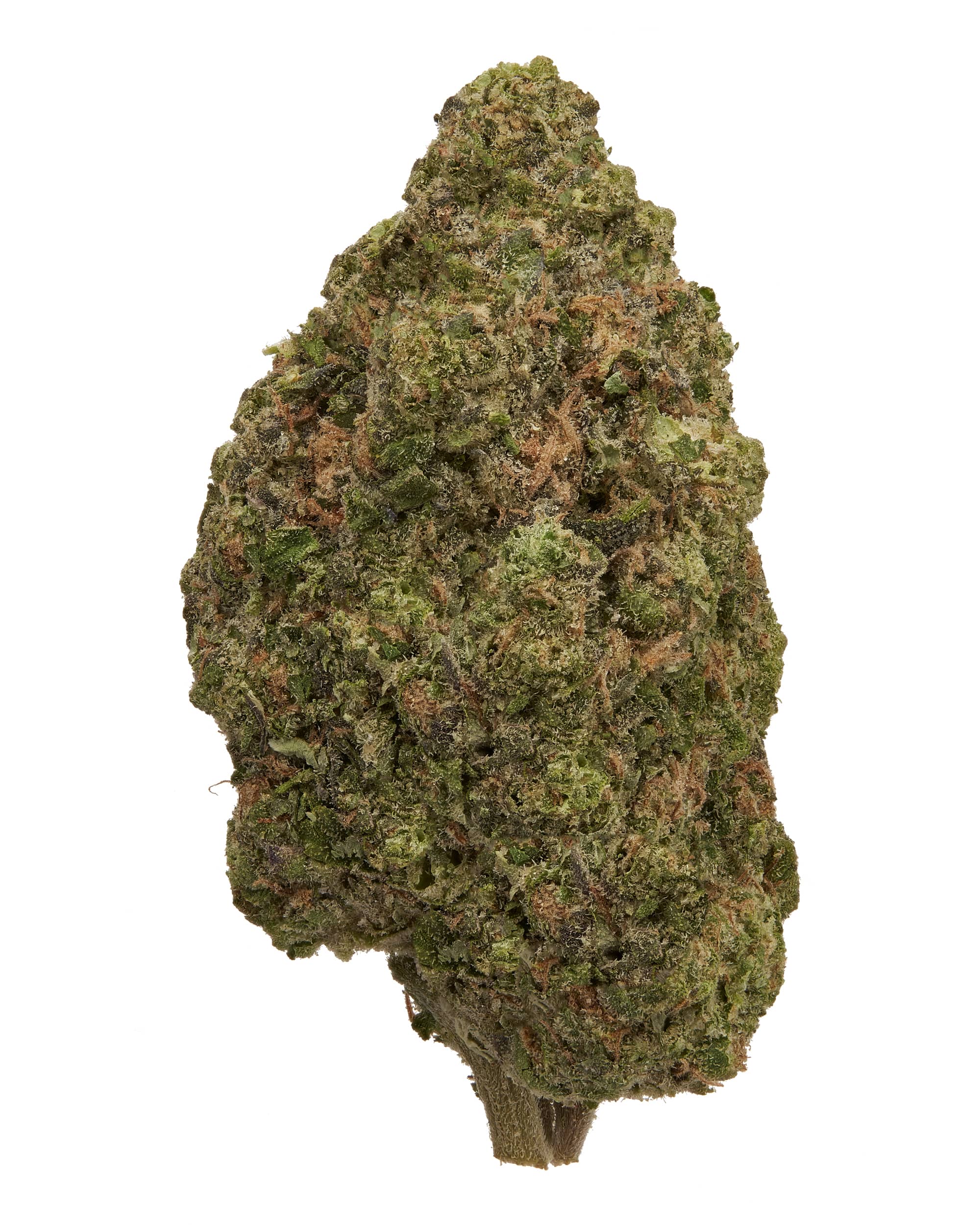 GMO (INDOOR) THC-A Flower