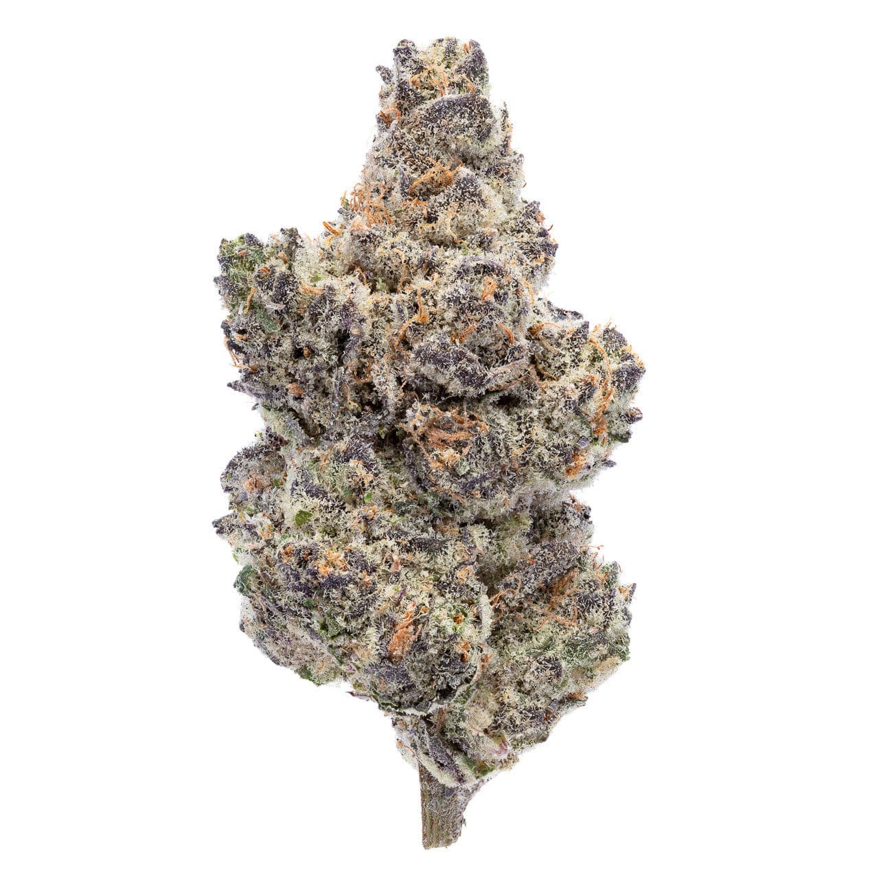 GMO x SHERBCRASHER (INDOOR) THC-A Flower