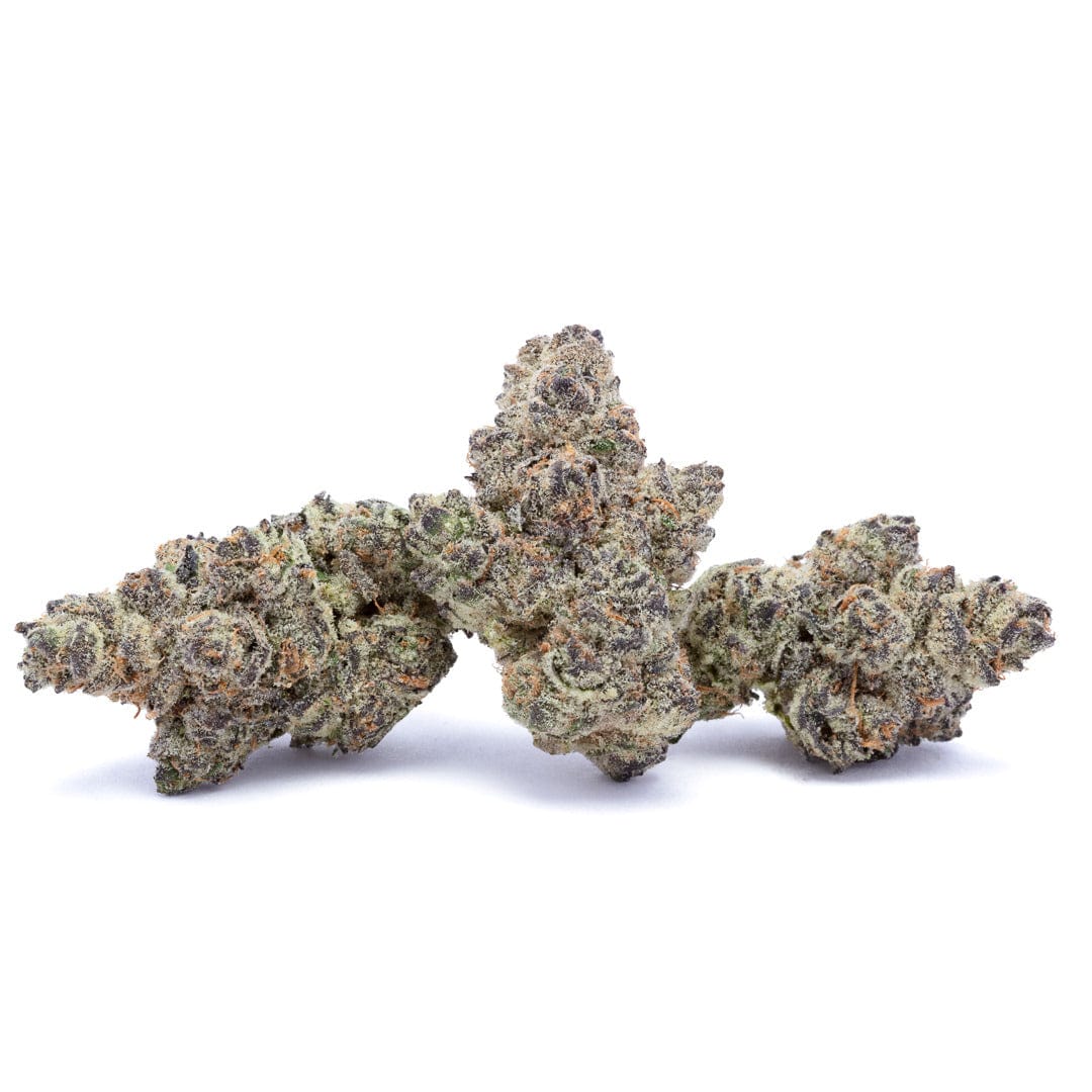 GMO x SHERBCRASHER (INDOOR) THC-A Flower - Image 2