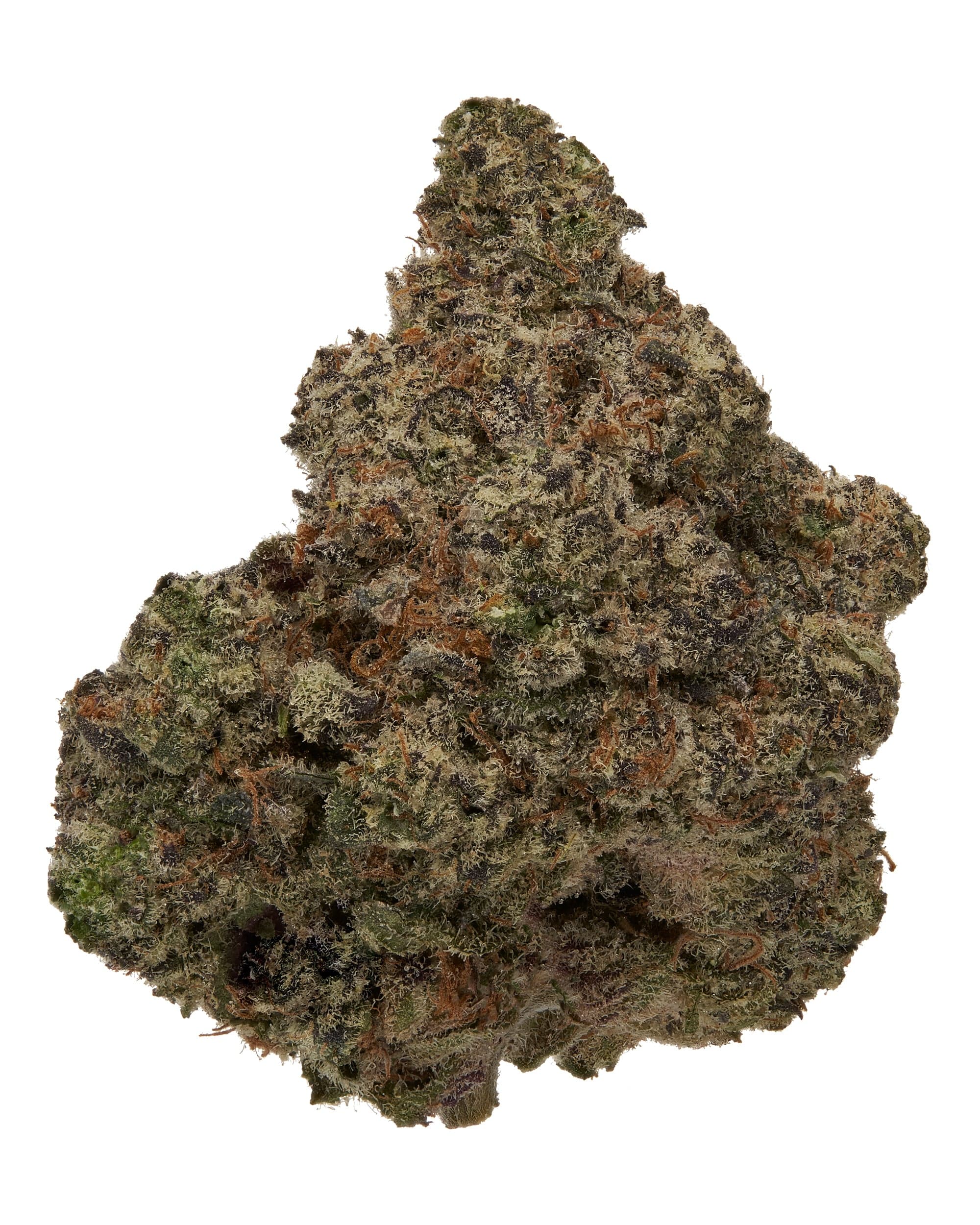 GRAND DADDY PURPLE (EXOTIC) THC-A Flower
