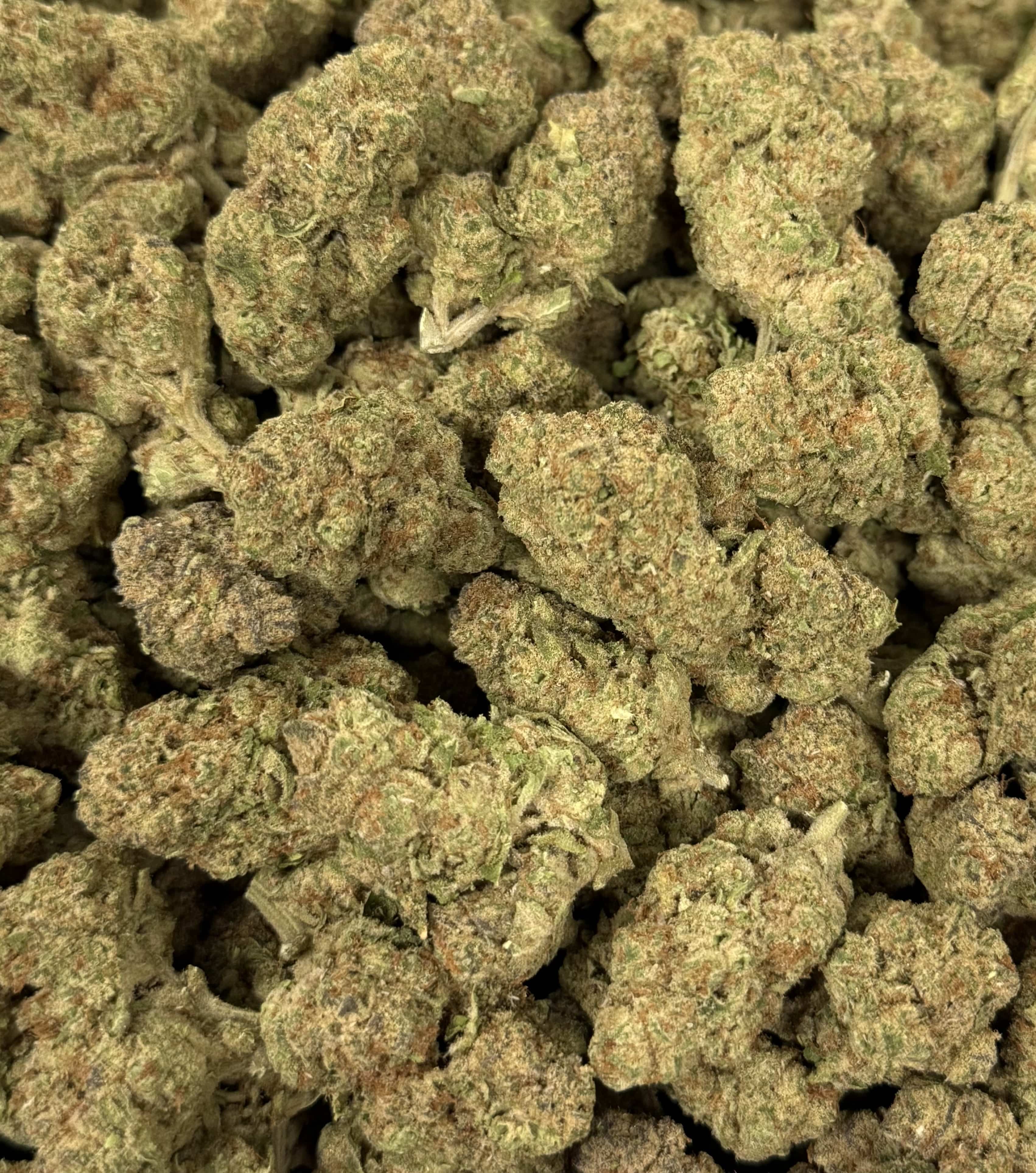 GRAPE MILKSHAKE (GREENHOUSE) THC-A Flower
