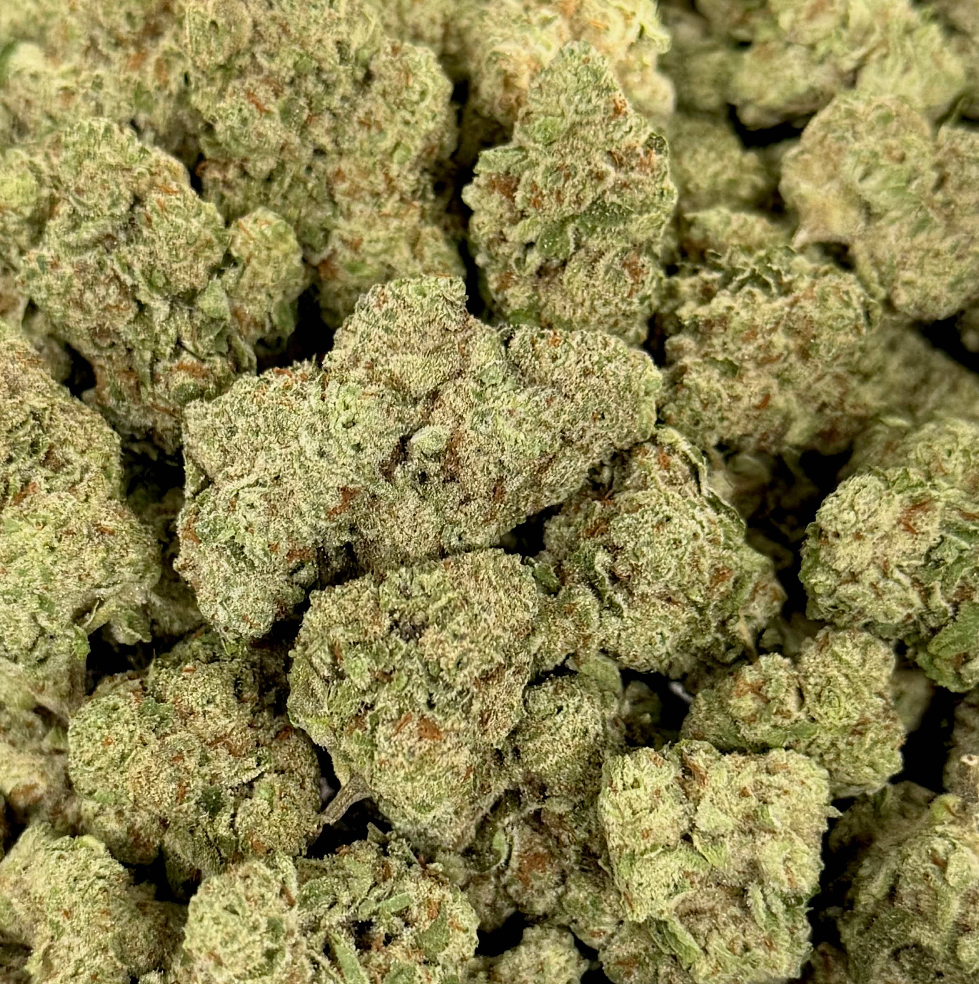 GUMMY BEARS (GREENHOUSE) THC-A Flower