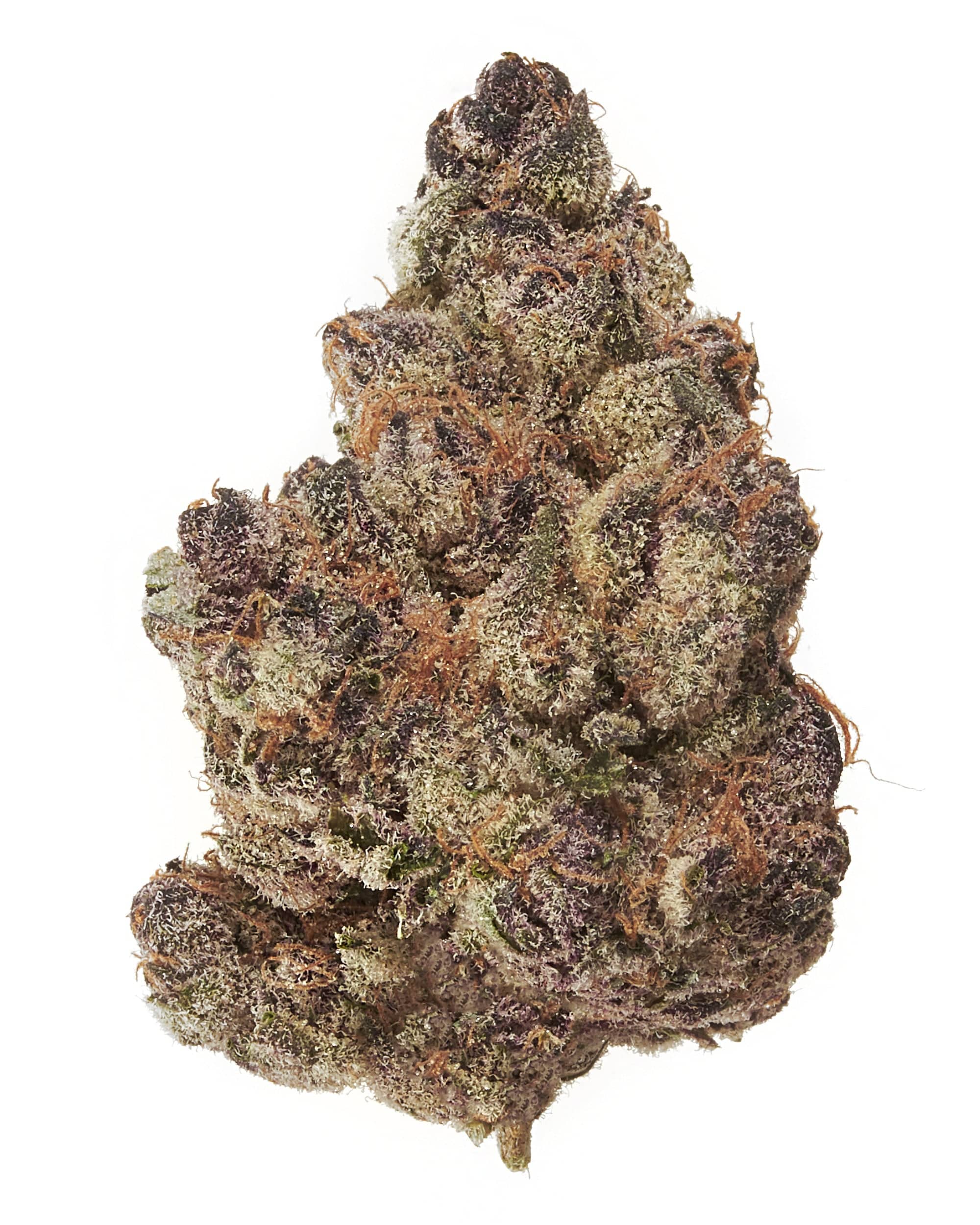 HALLE BERRY (INDOOR) THC-A Flower