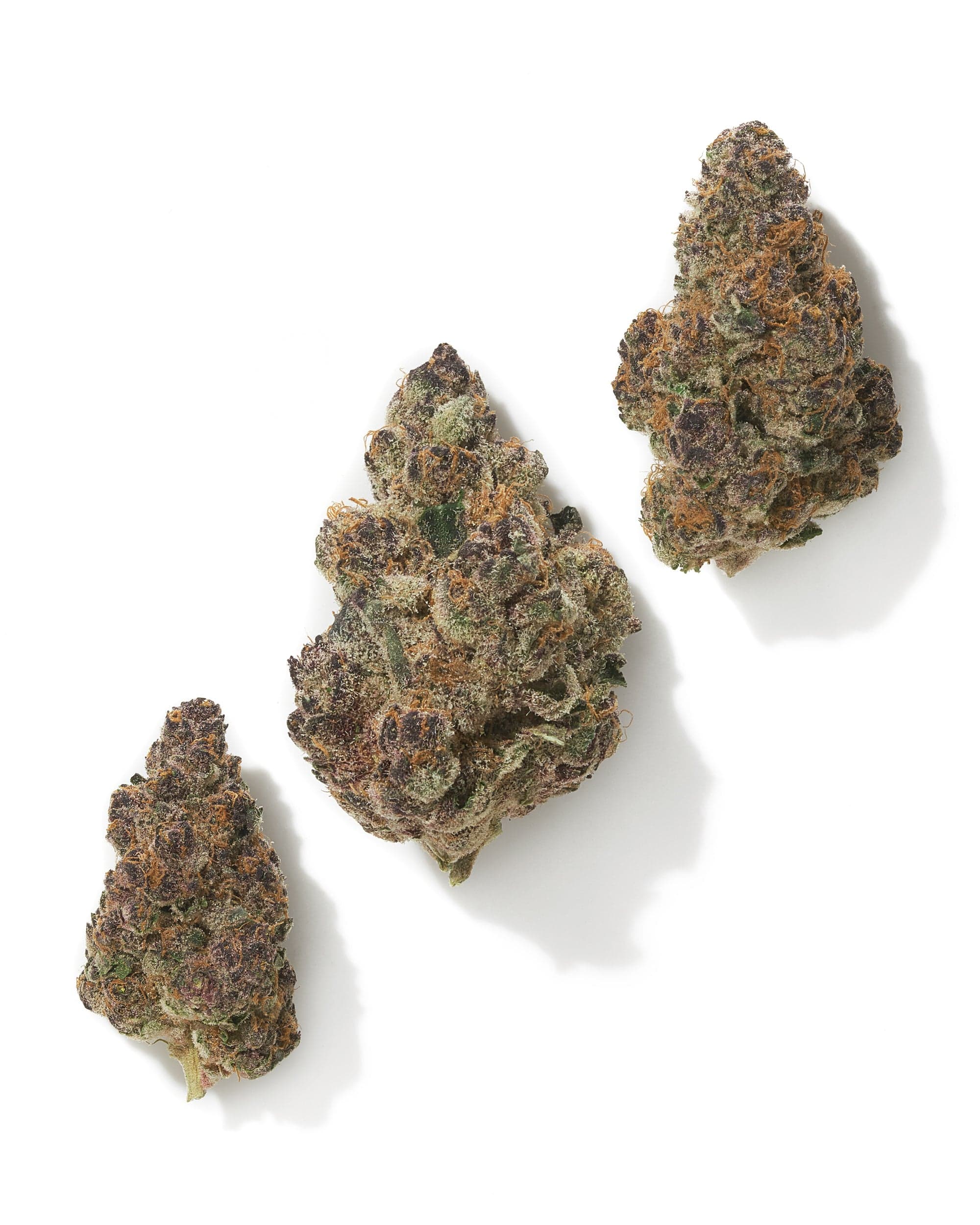 HALLE BERRY (INDOOR) THC-A Flower - Image 2