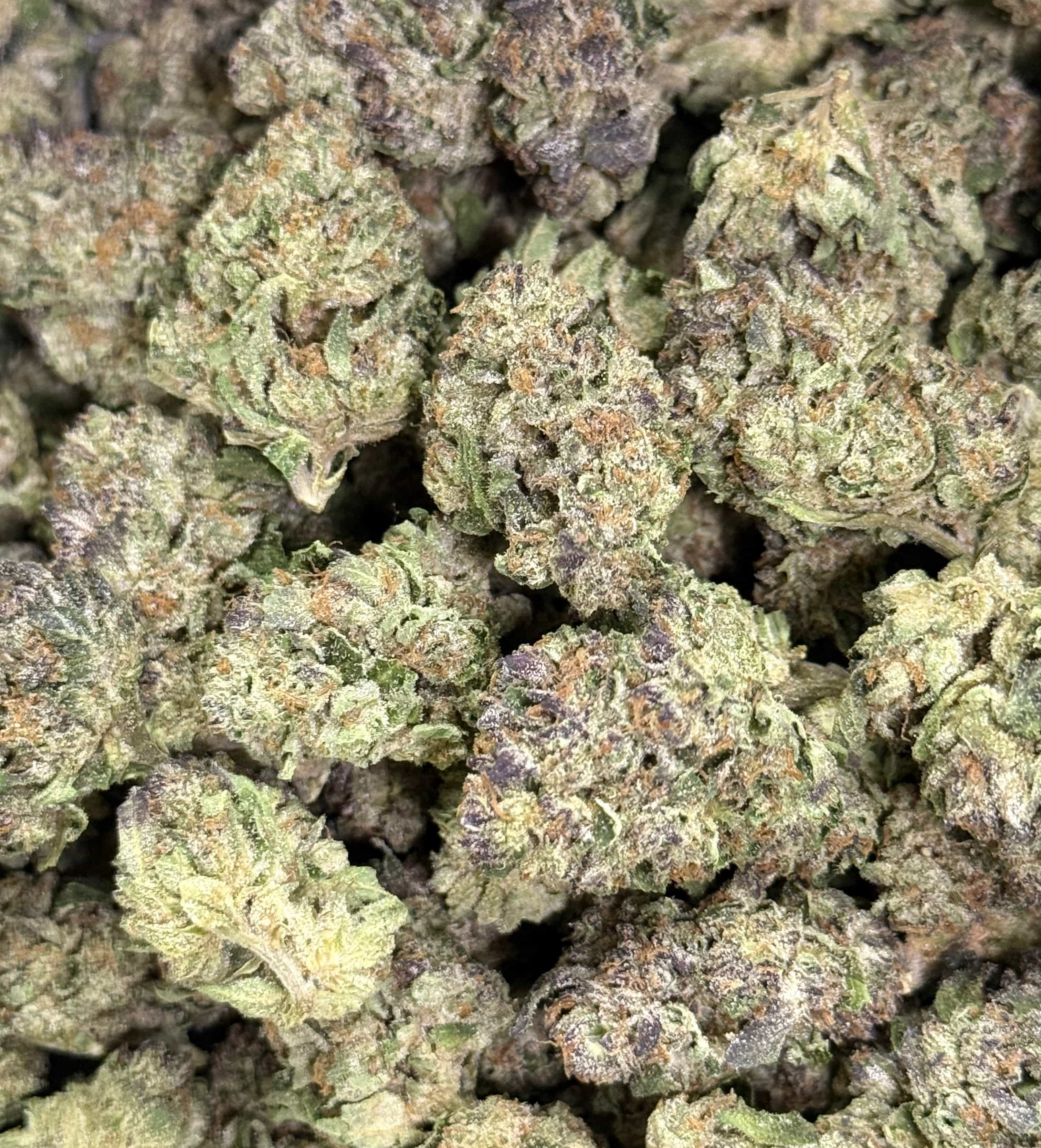 INSANE POUND CAKE (GREENHOUSE) THC-A Flower