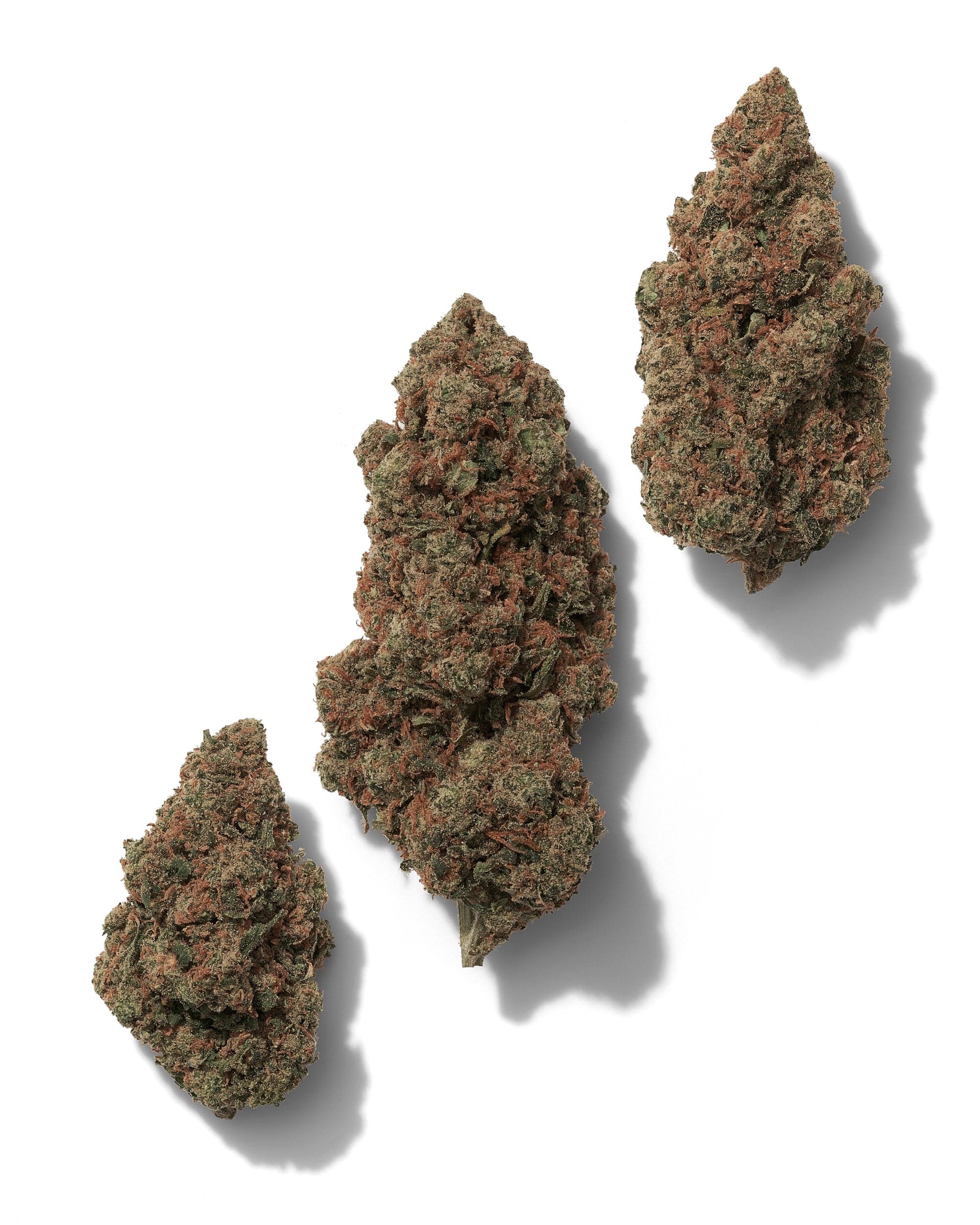 JACK HERER (LIGHT DEP) THC-A Flower - Image 2