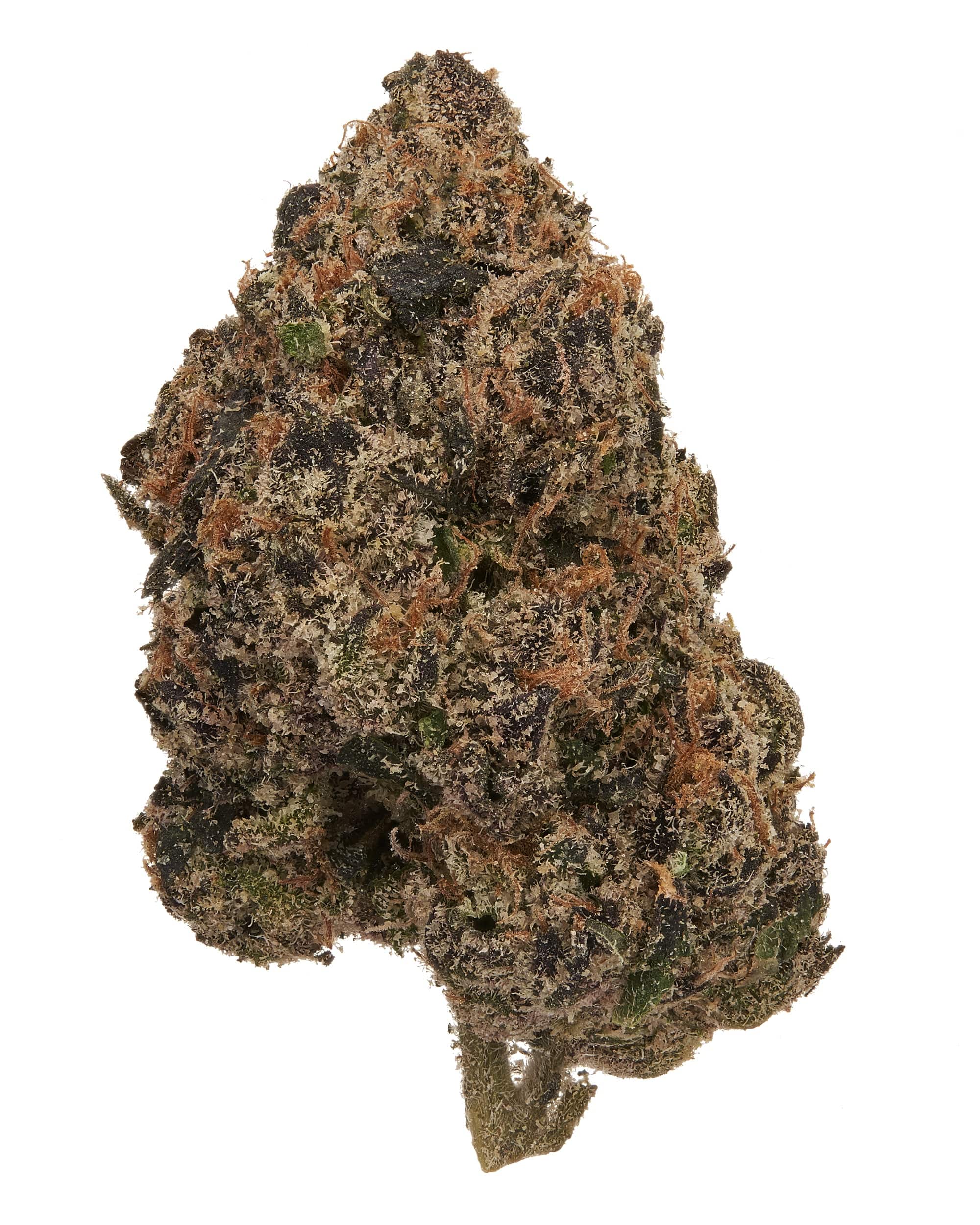 LEMON CHERRY GELATO (EXOTIC) THC-A Flower