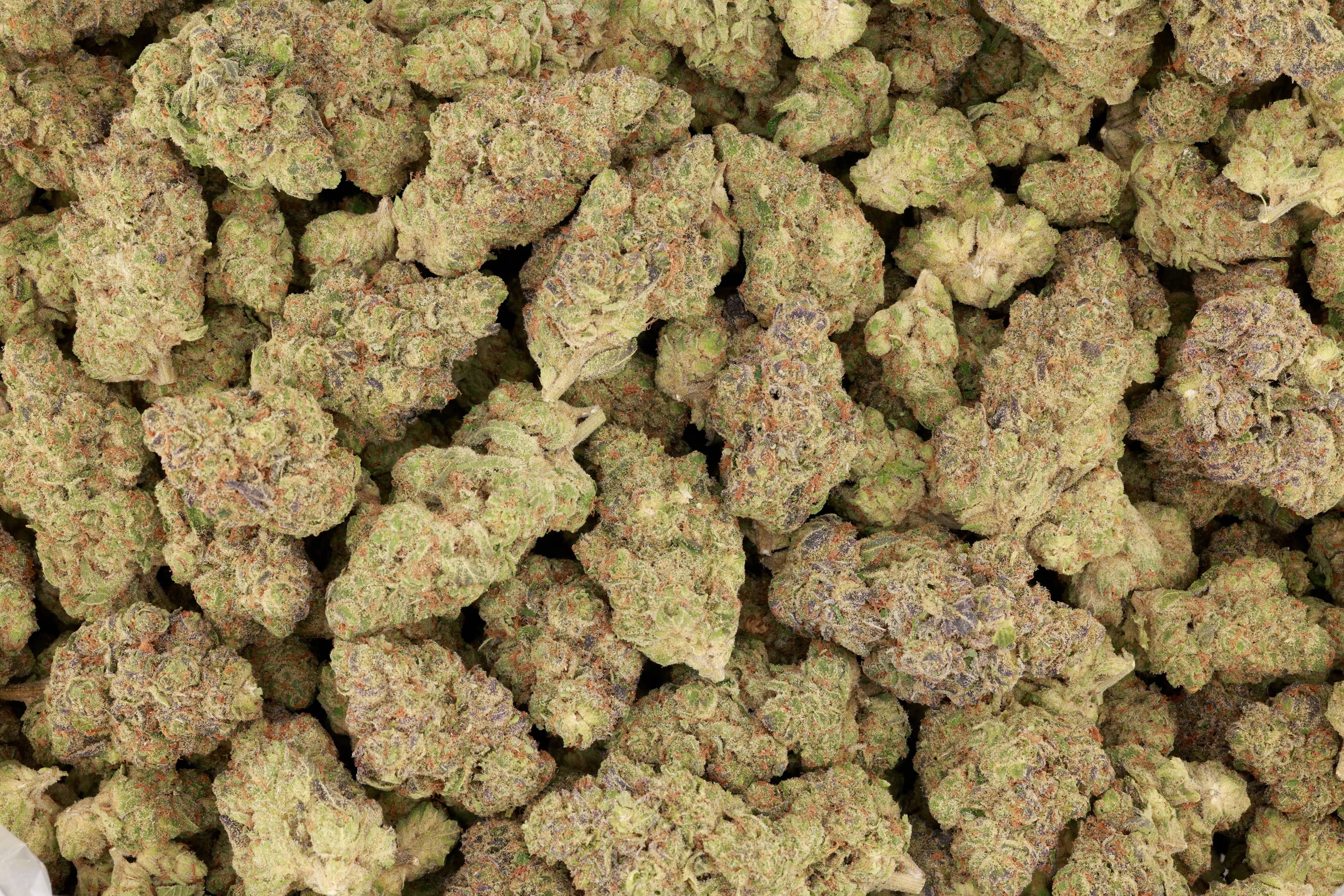 LEMON CHERRY SHERB (GREENHOUSE) THC-A Flower