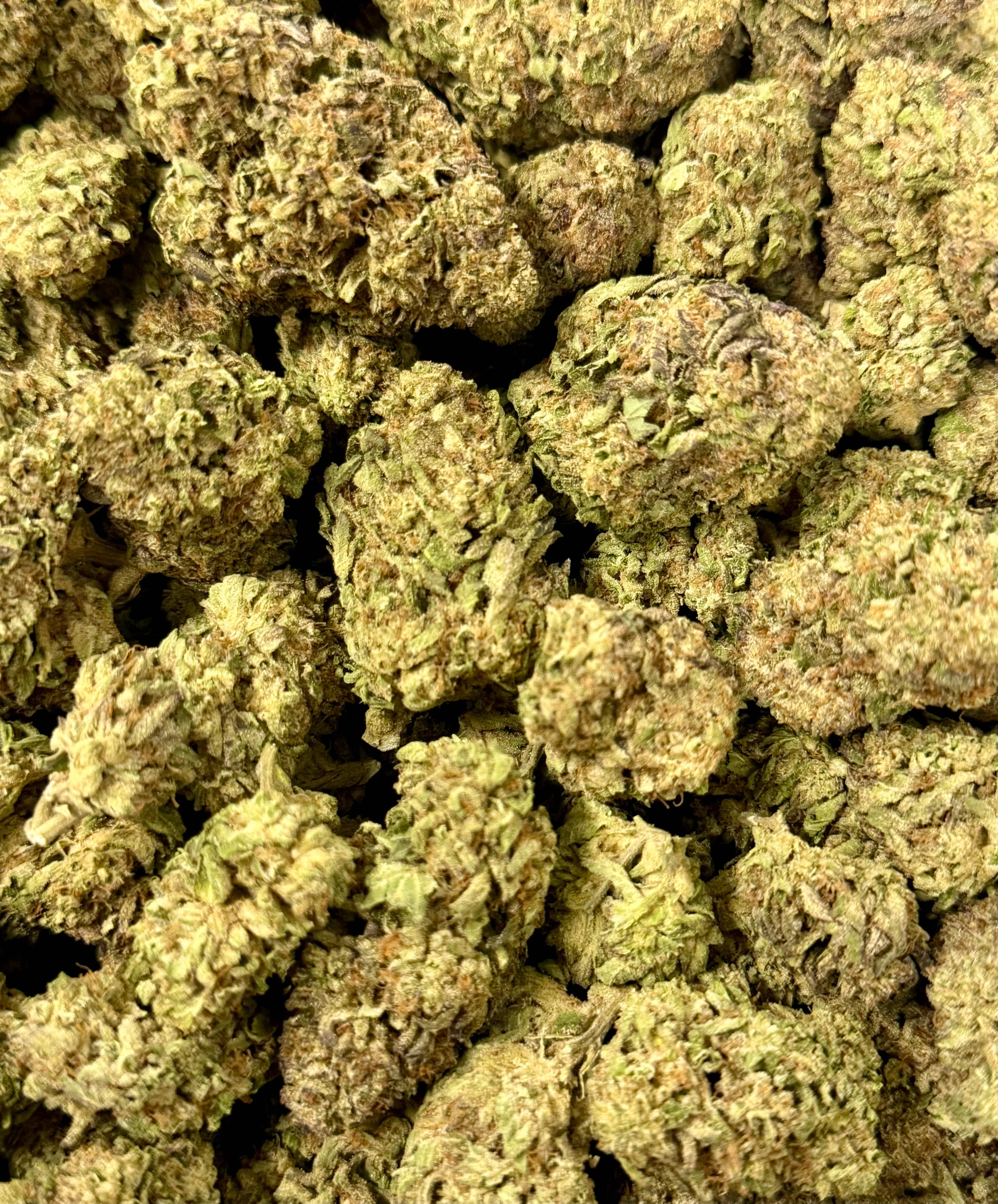 LEMON CREME (GREENHOUSE) THC-A Flower