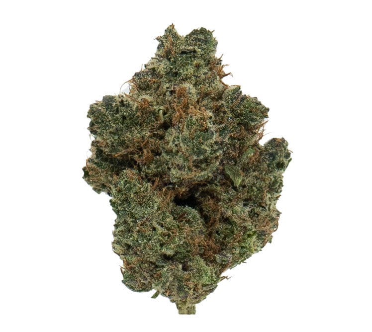 LEMON LUSH (INDOOR) THC-A Flower