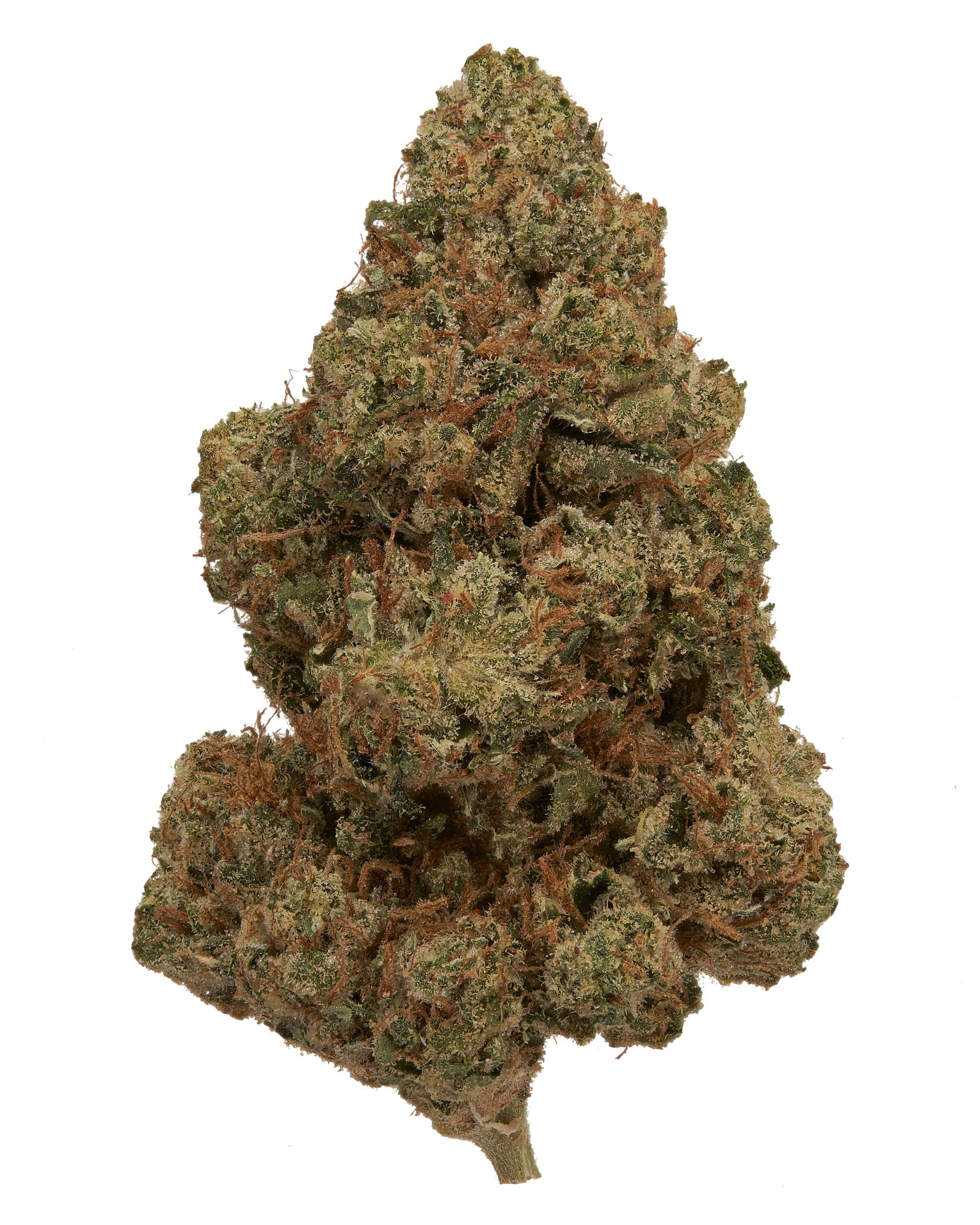 LOUIS XIII OG (EXOTIC) THC-A Flower