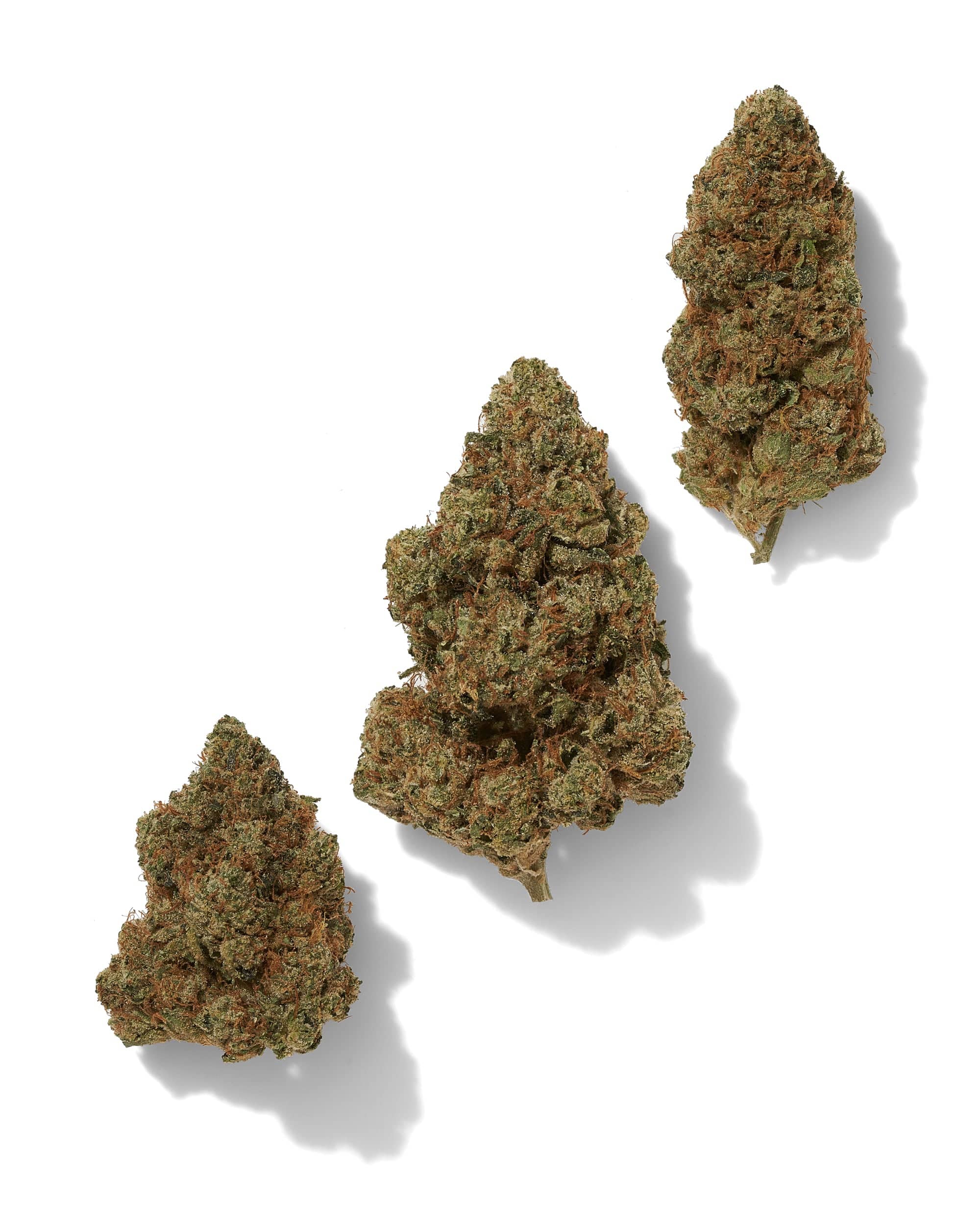 LOUIS XIII OG (EXOTIC) THC-A Flower - Image 2