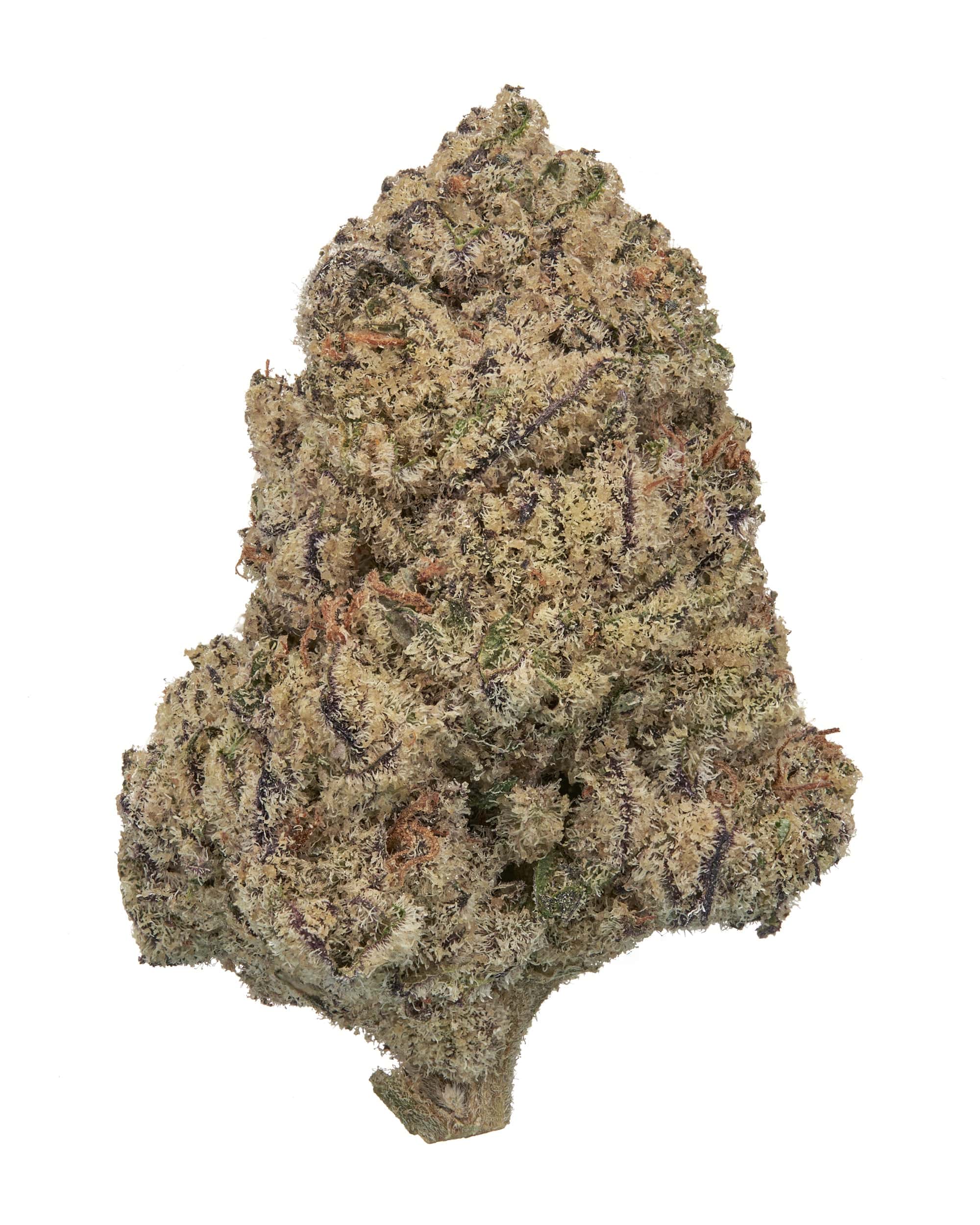 MONKEY BIZZ (INDOOR) THC-A Flower