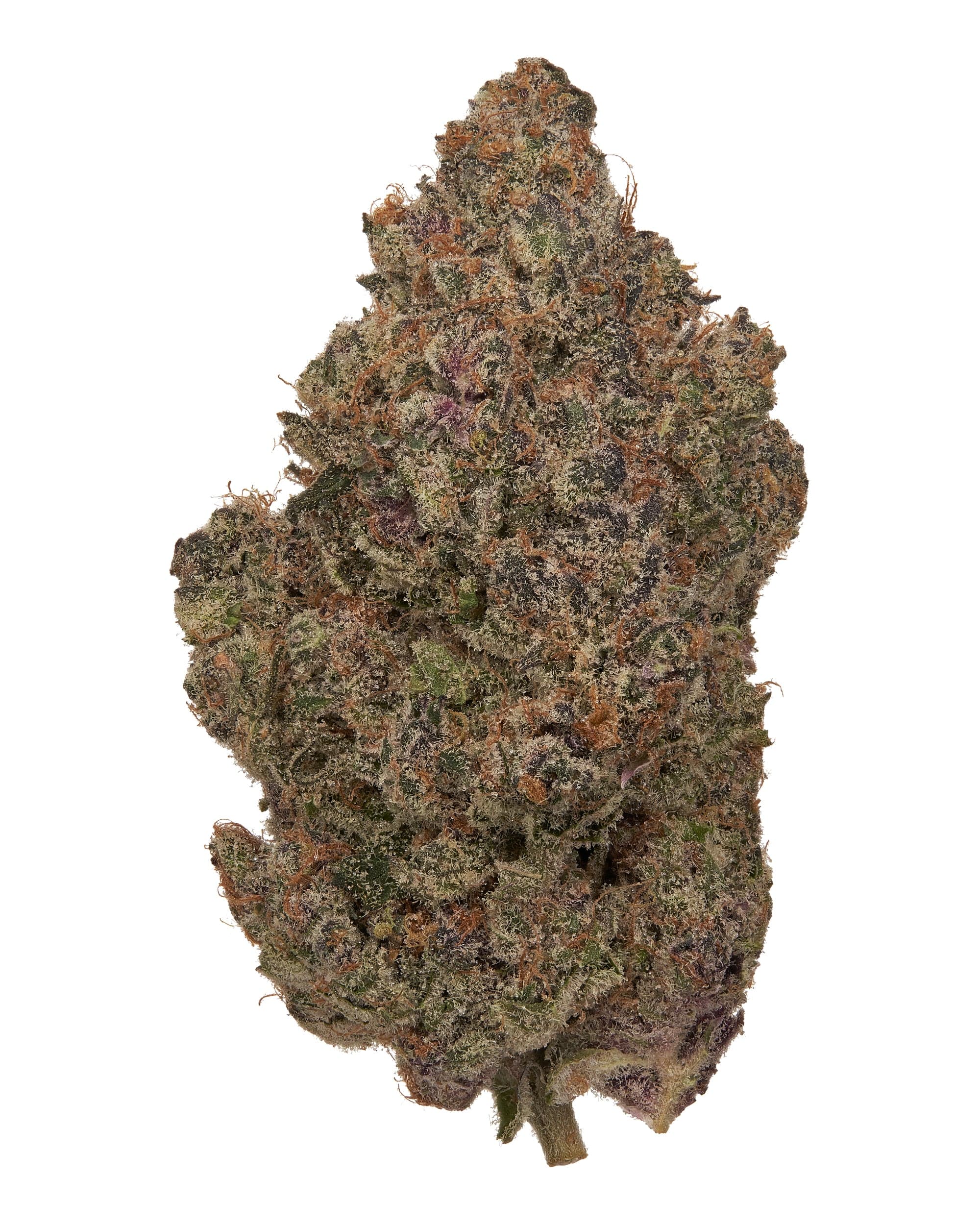 ORANGE CREAMSICLE (INDOOR) THC-A Flower