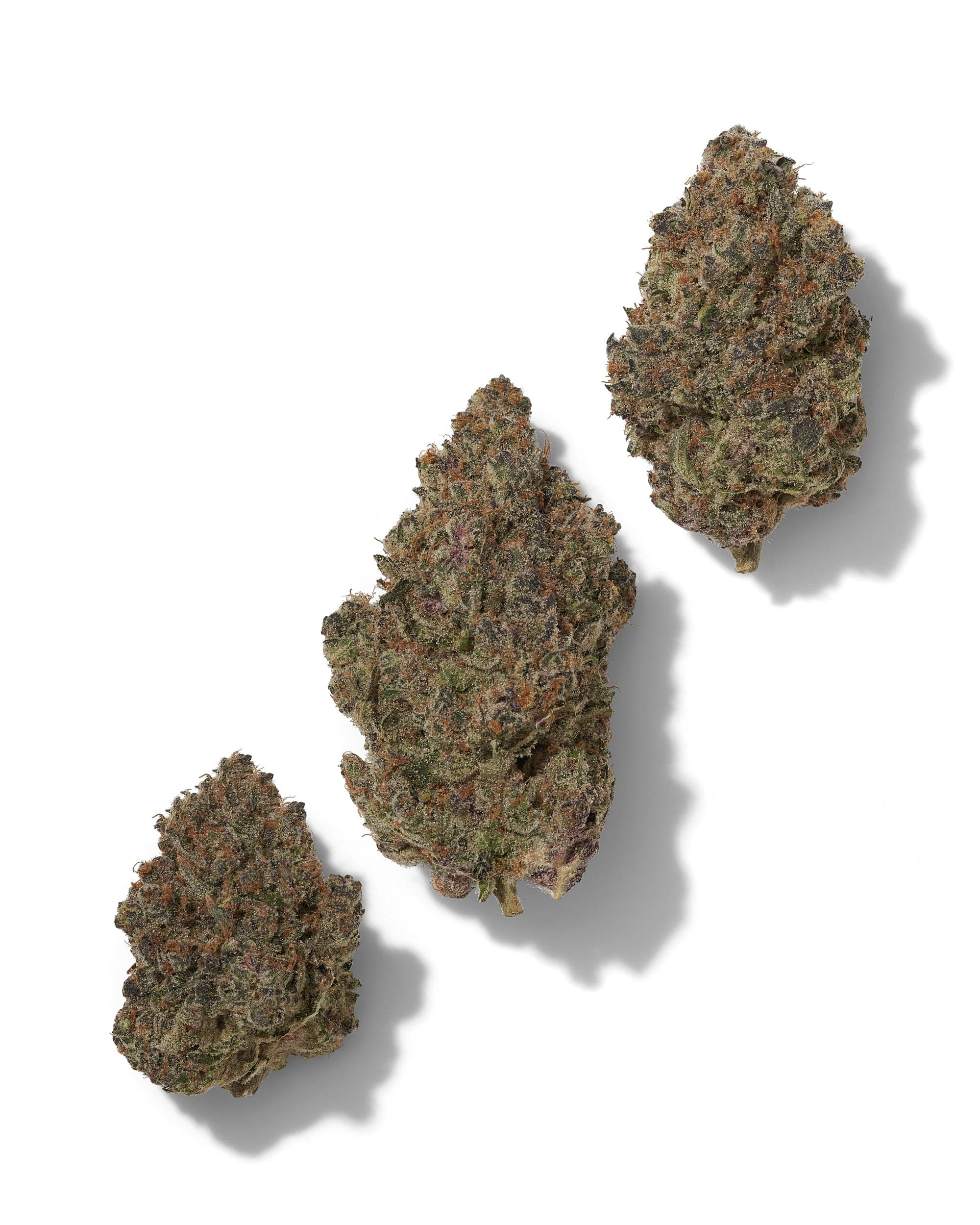 ORANGE CREAMSICLE (INDOOR) THC-A Flower - Image 2