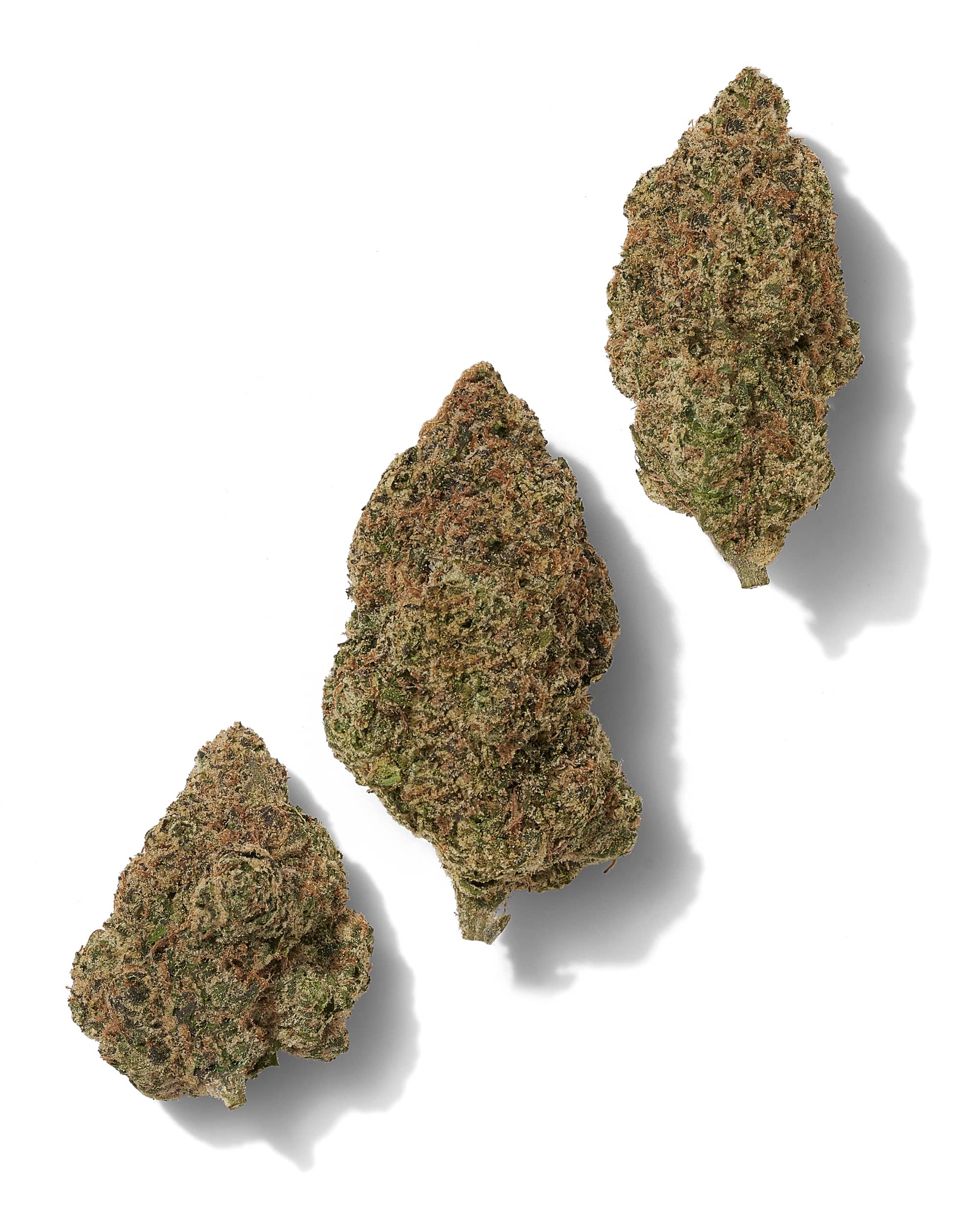 PINK GUMMIES (INDOOR) THC-A Flower - Image 2