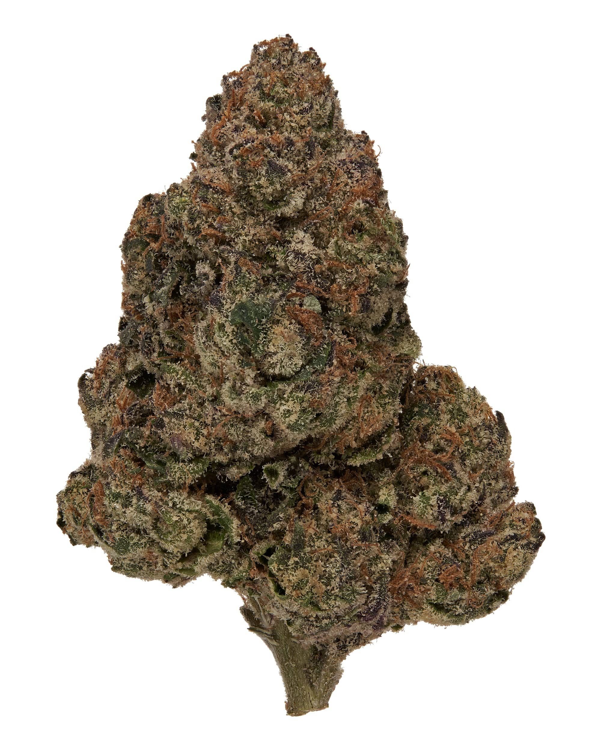 PIXIE STIX (EXOTIC) THC-A Flower