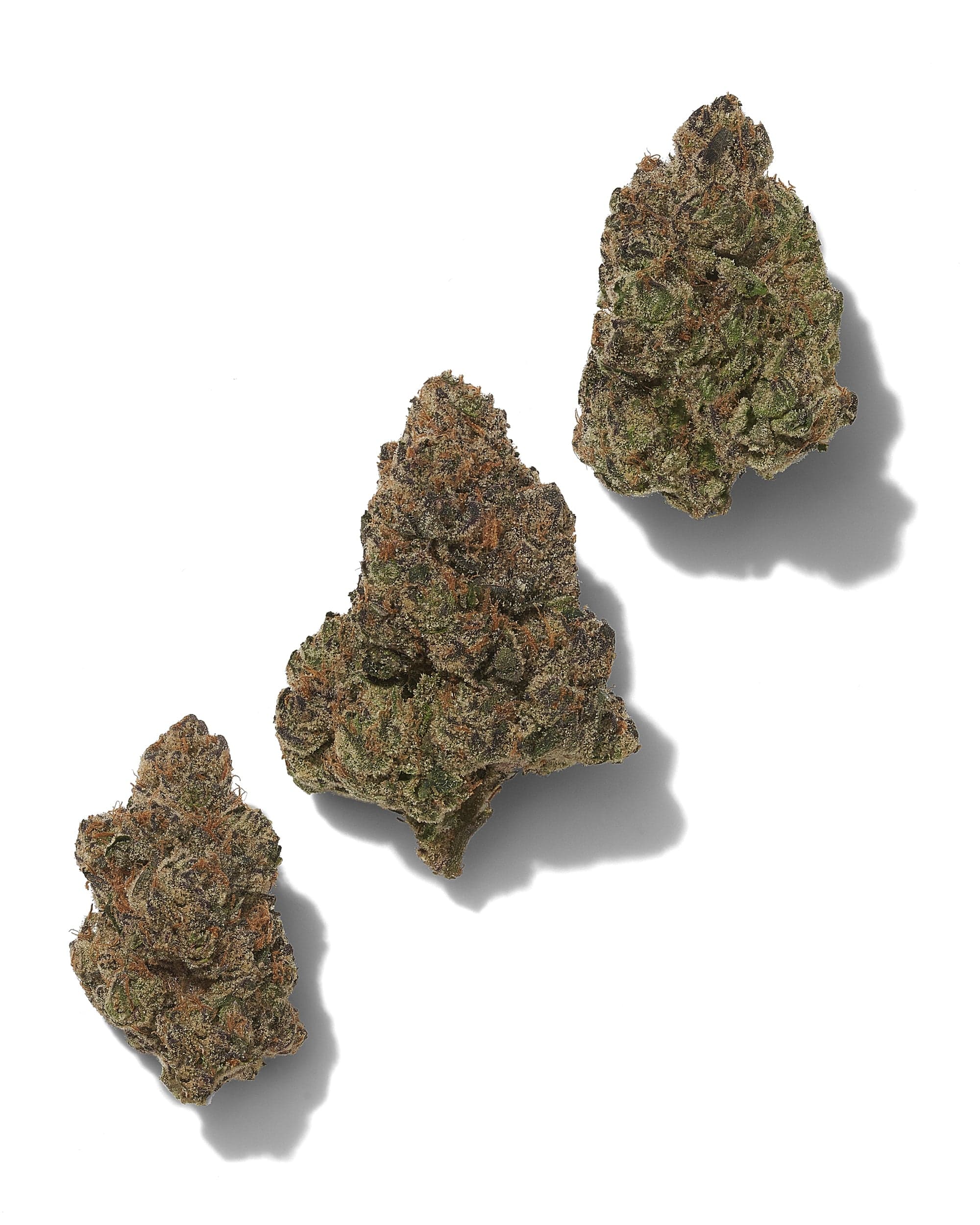 PIXIE STIX (EXOTIC) THC-A Flower - Image 2