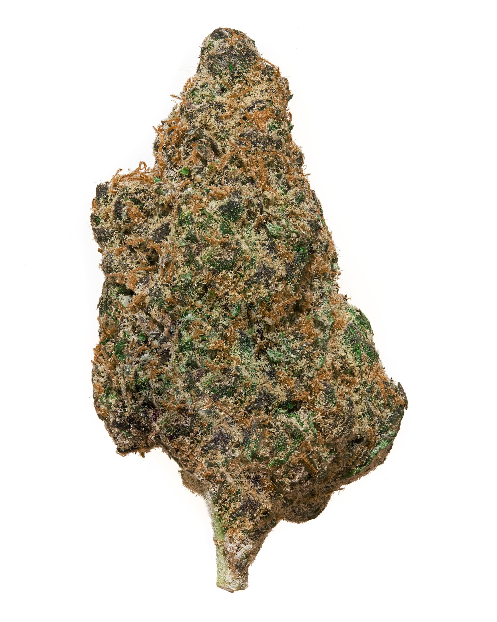 RAINBOW INFERNO (INDOOR) THC-A Flower