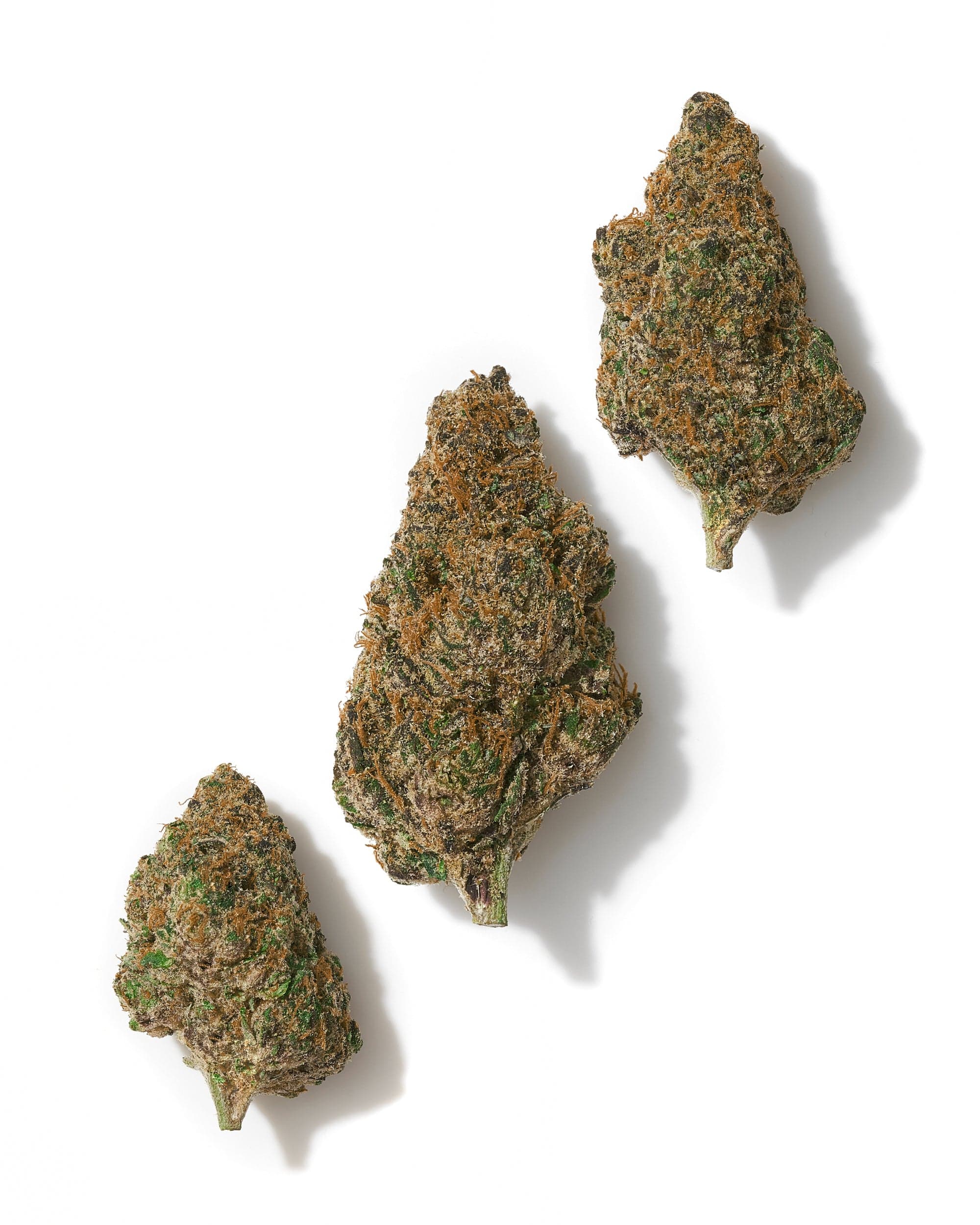 RAINBOW INFERNO (INDOOR) THC-A Flower - Image 2