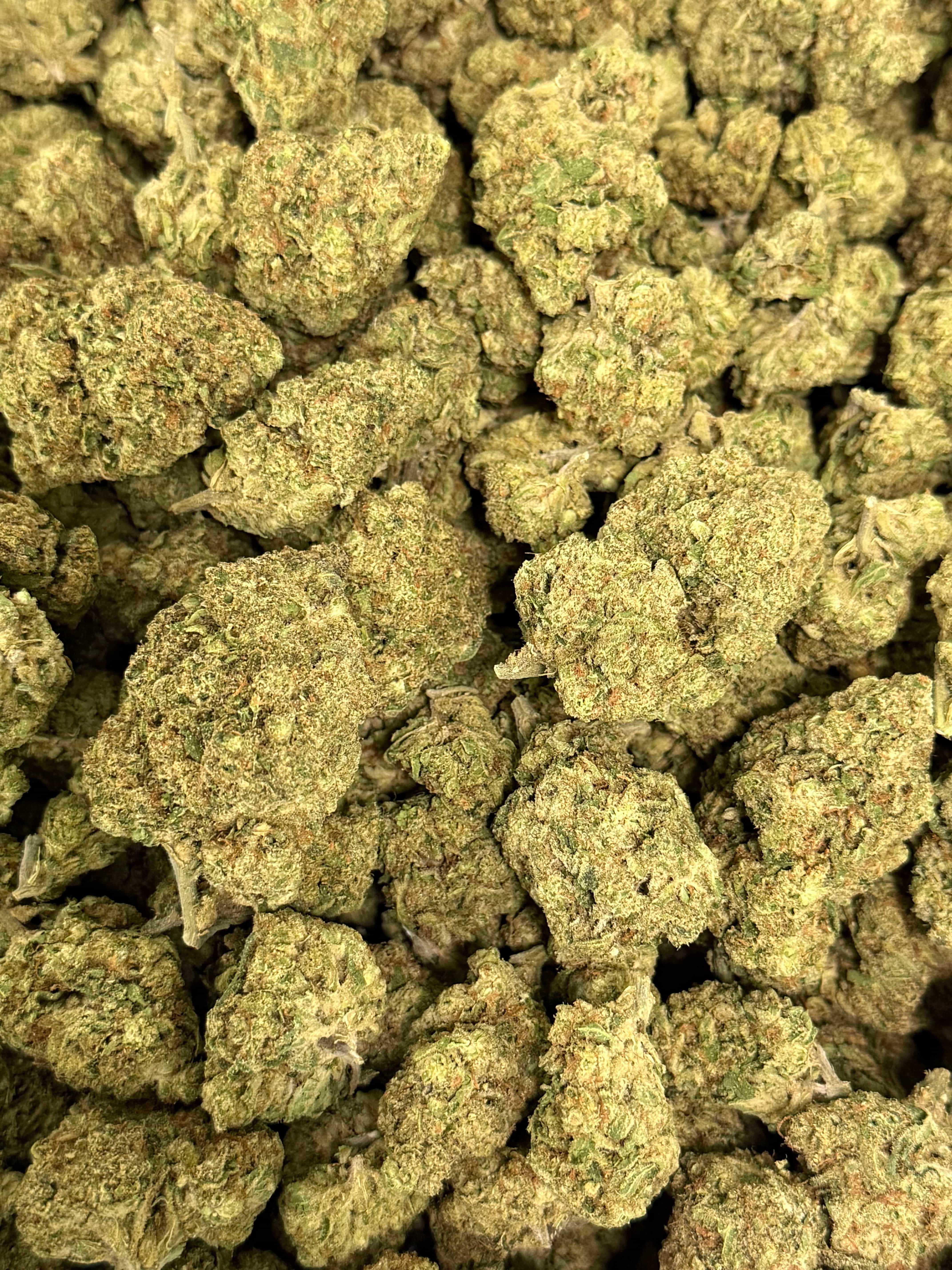 SHERBERT (GREENHOUSE) THC-A Flower