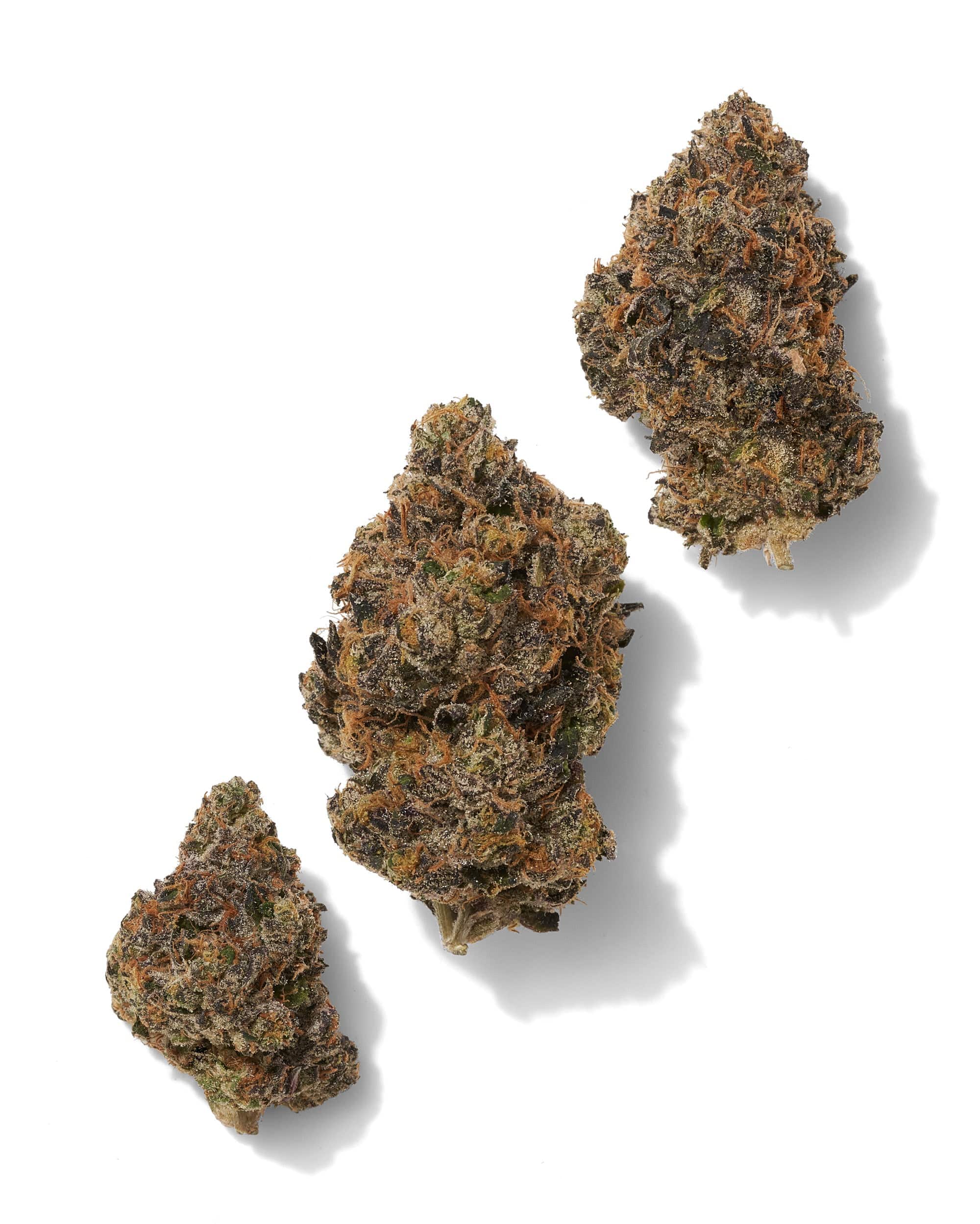 SUNSET SHERBERT (INDOOR) THC-A Flower - Image 2