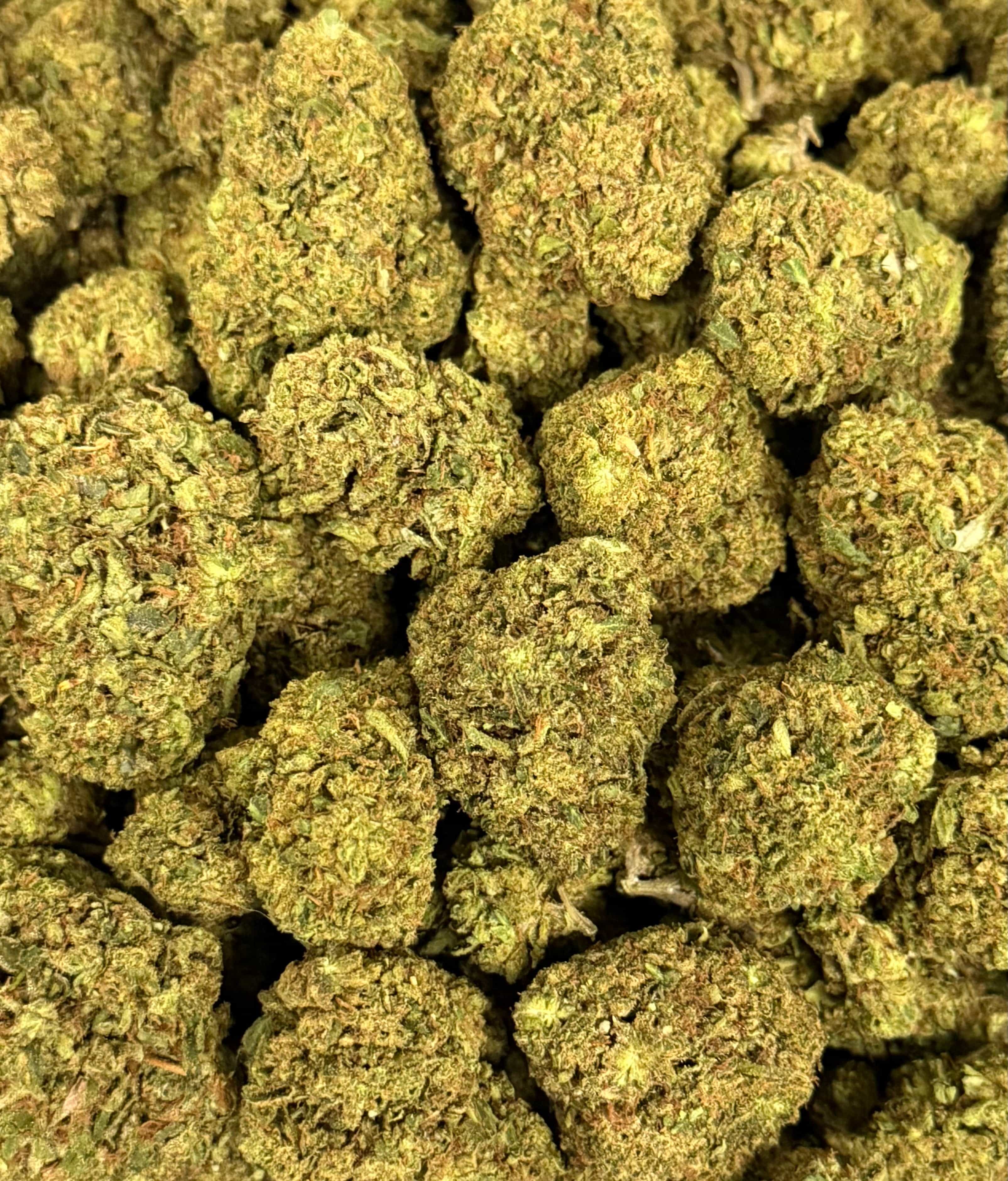 TANGERINE DREAM (GREENHOUSE) THC-A Flower